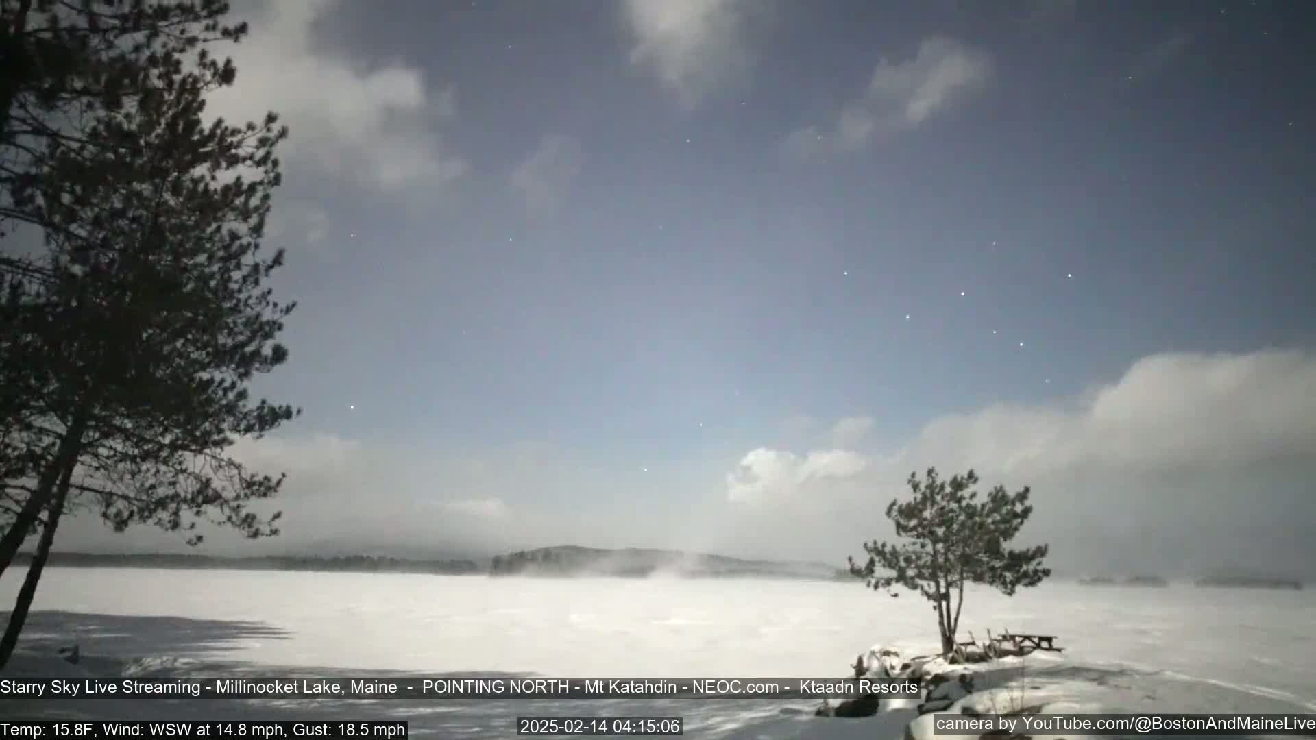 A snow-covered lake is visible under a partly cloudy night sky, with a few stars and two silhouetted trees in the foreground, a light wind blowing.