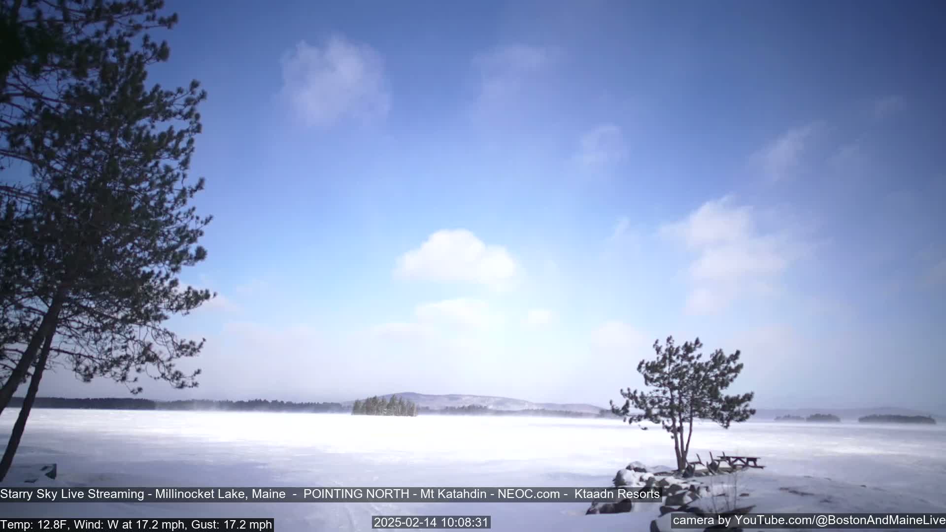 A mostly clear, windy winter day reveals a frozen lake with snow-covered shores, two lone evergreen trees, and distant hills under a light blue sky.