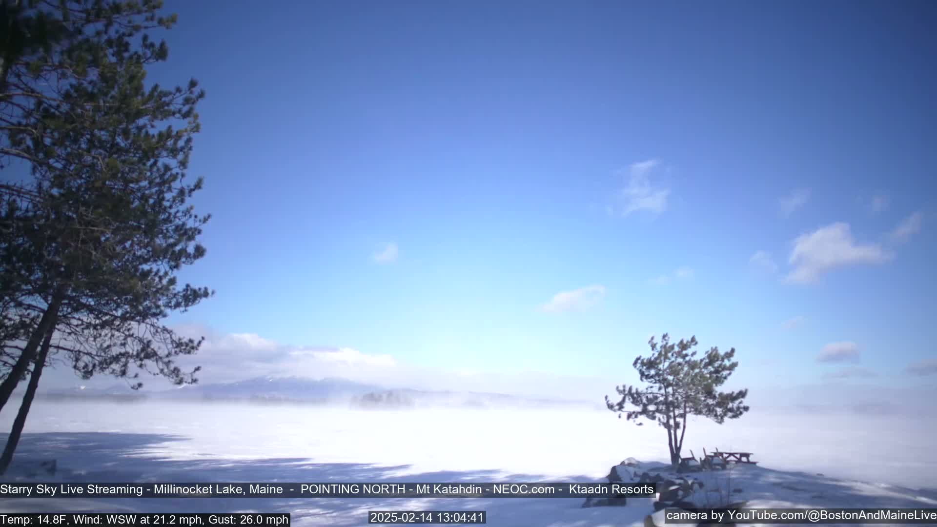 A snow-covered lake is visible under a mostly clear blue sky with a few wispy clouds, two evergreen trees stand near a picnic table on the shoreline in the foreground, while distant mountains are barely visible through a light ground fog.