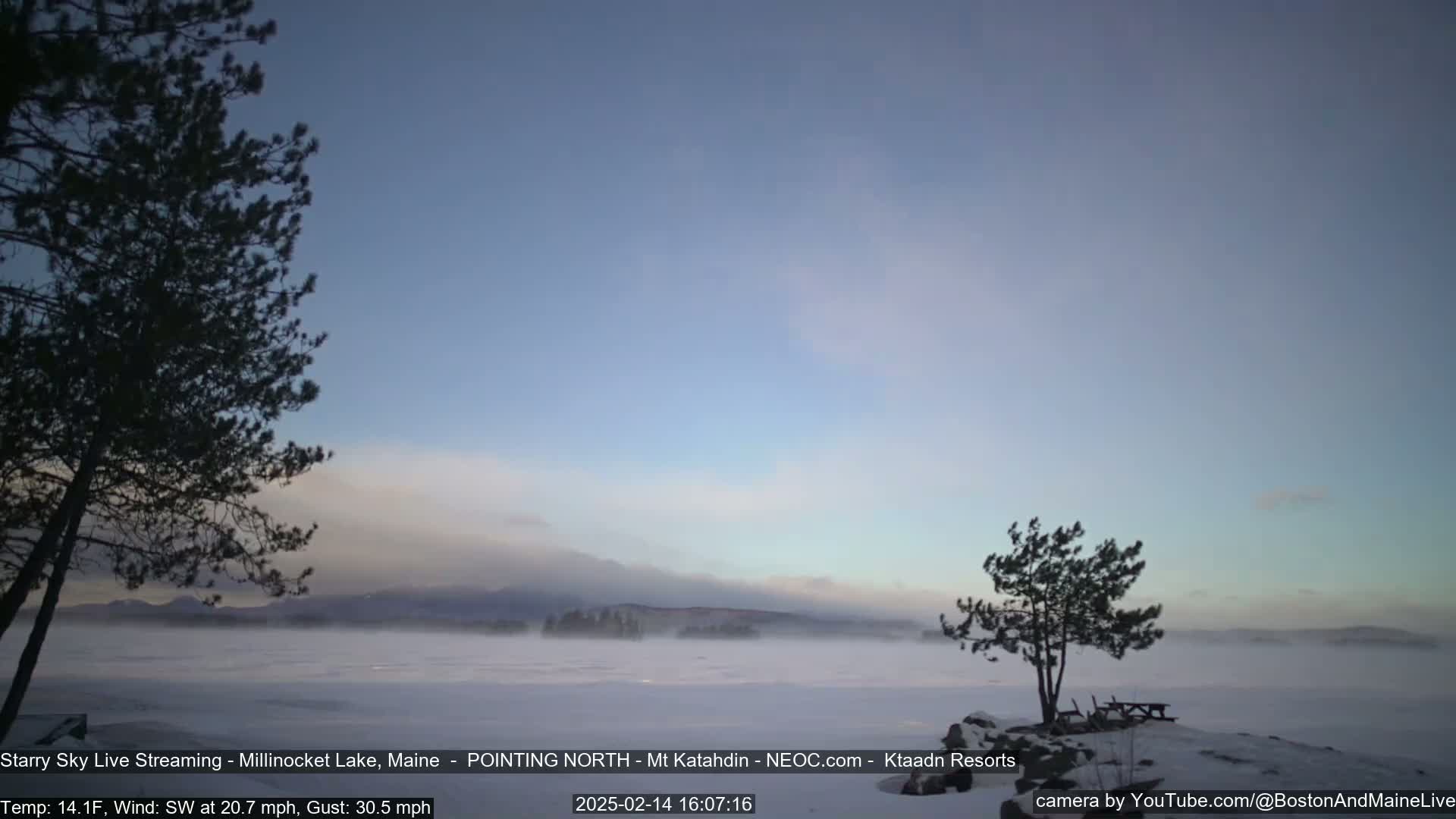 A snow-covered lake stretches to distant mountains under a hazy, light-blue sky, with two windswept pine trees in the foreground.