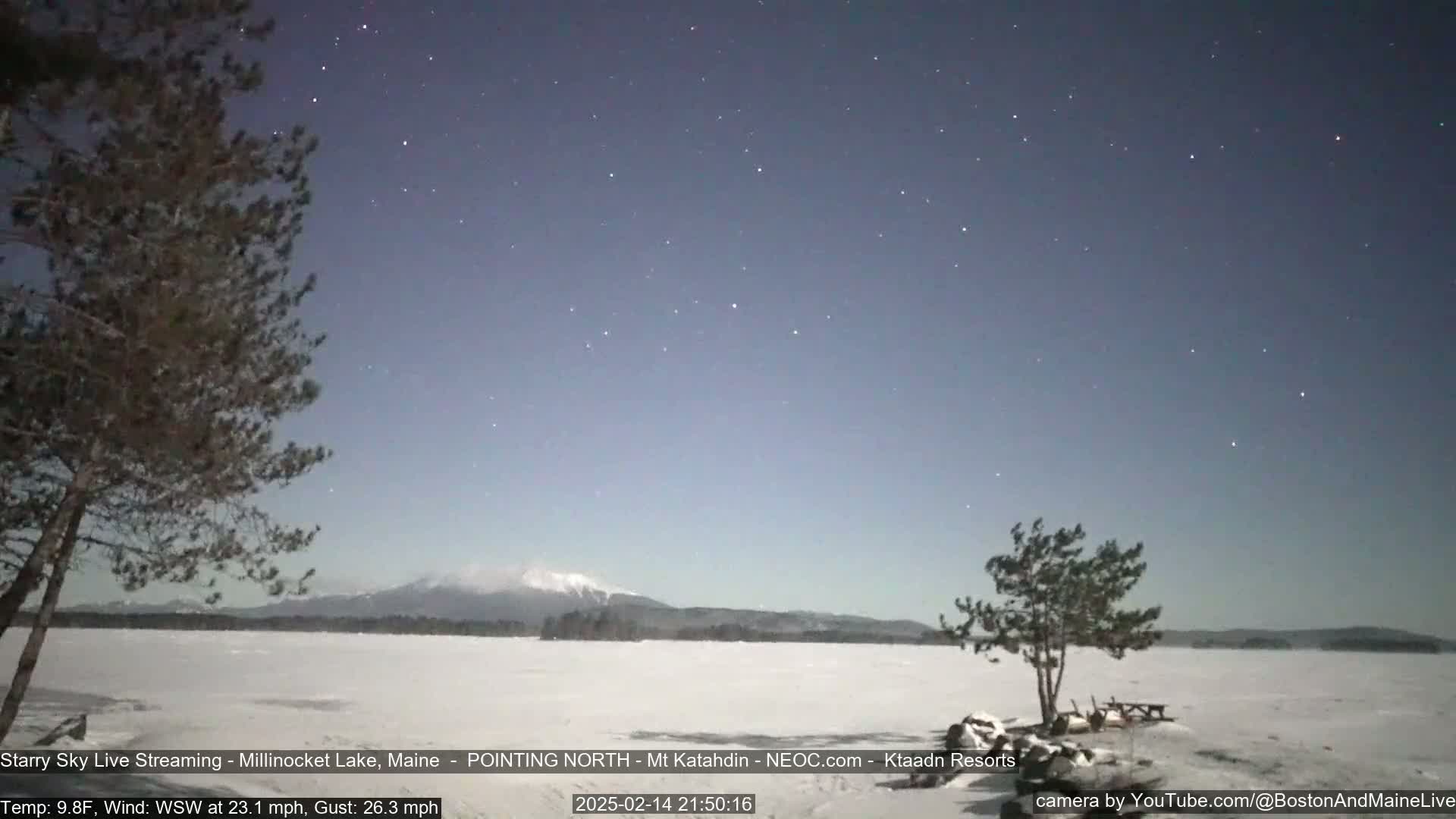 A snow-covered lake is seen under a starry night sky, with a mountain range in the distance and two pine trees in the foreground, under windy, cold conditions.