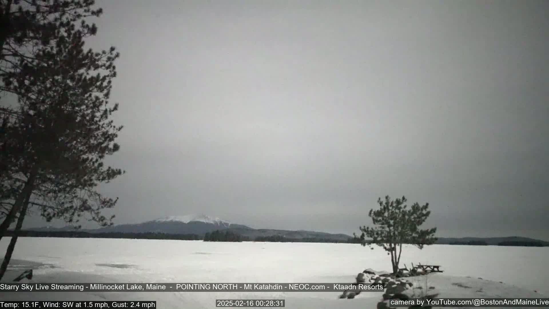 A snow-covered lake with a distant mountain range under an overcast sky is seen from a lakeside vantage point with sparse evergreens.