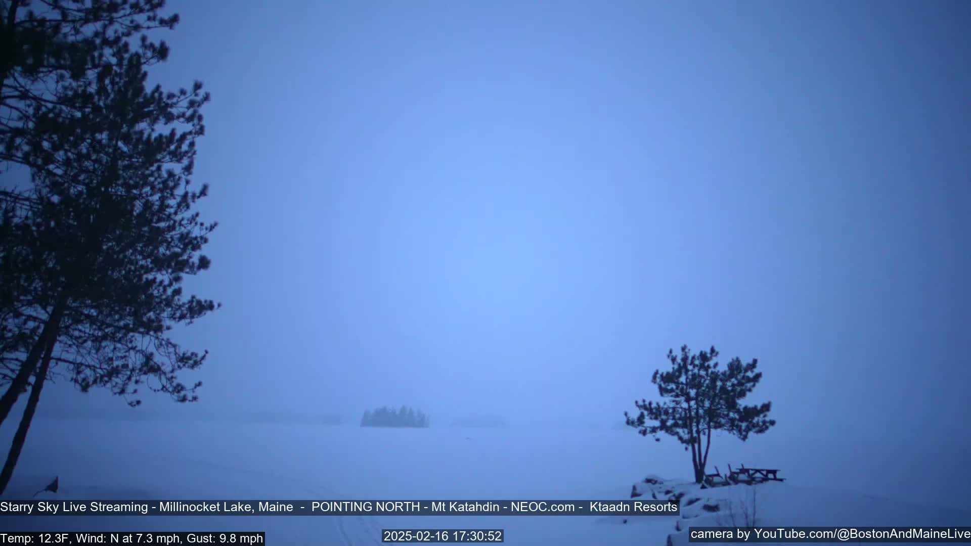 A snowy, hazy landscape at twilight shows a frozen lake with a few distant trees and two closer trees near a picnic table.