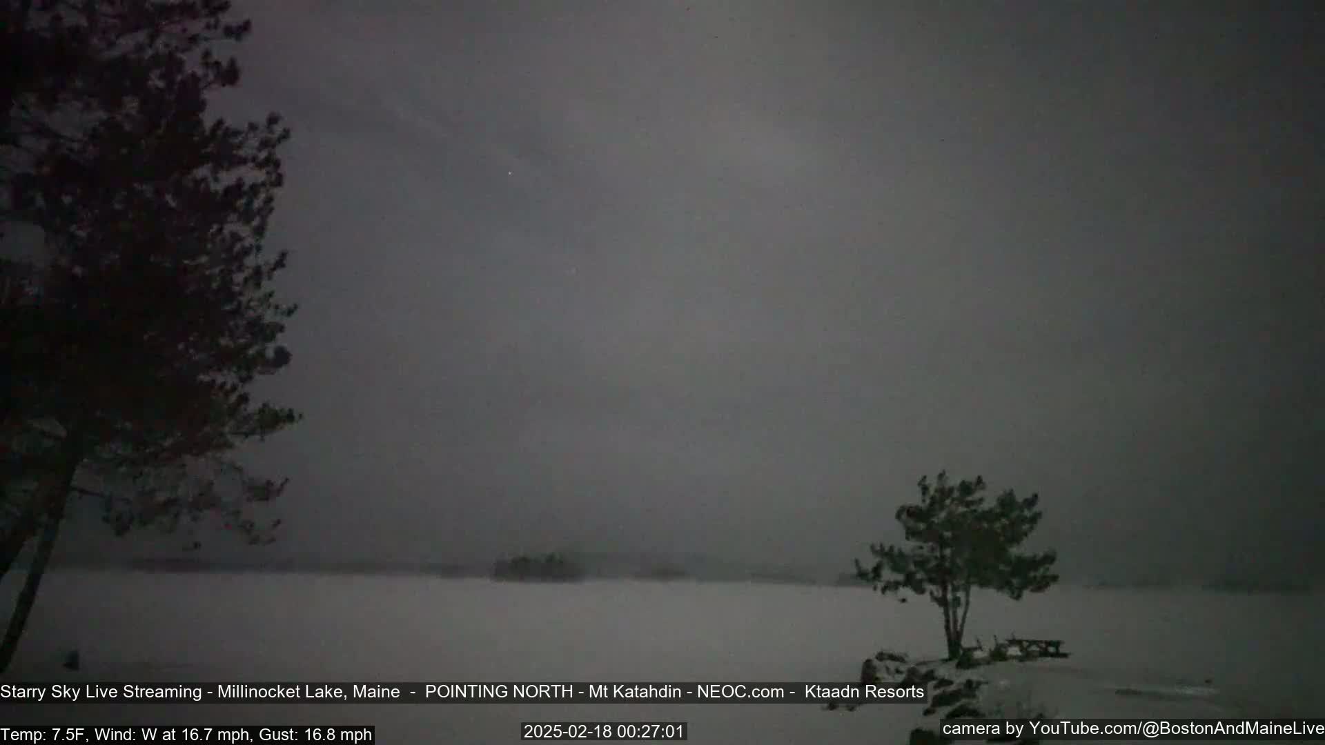 A snow-covered landscape with dark trees in the foreground and a hazy, dark sky under nighttime conditions.