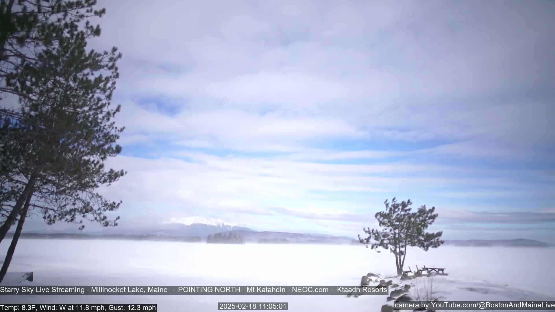 A snow-covered lake stretches to distant mountains under a partly cloudy sky, with two windswept trees in the foreground and a light wind blowing.