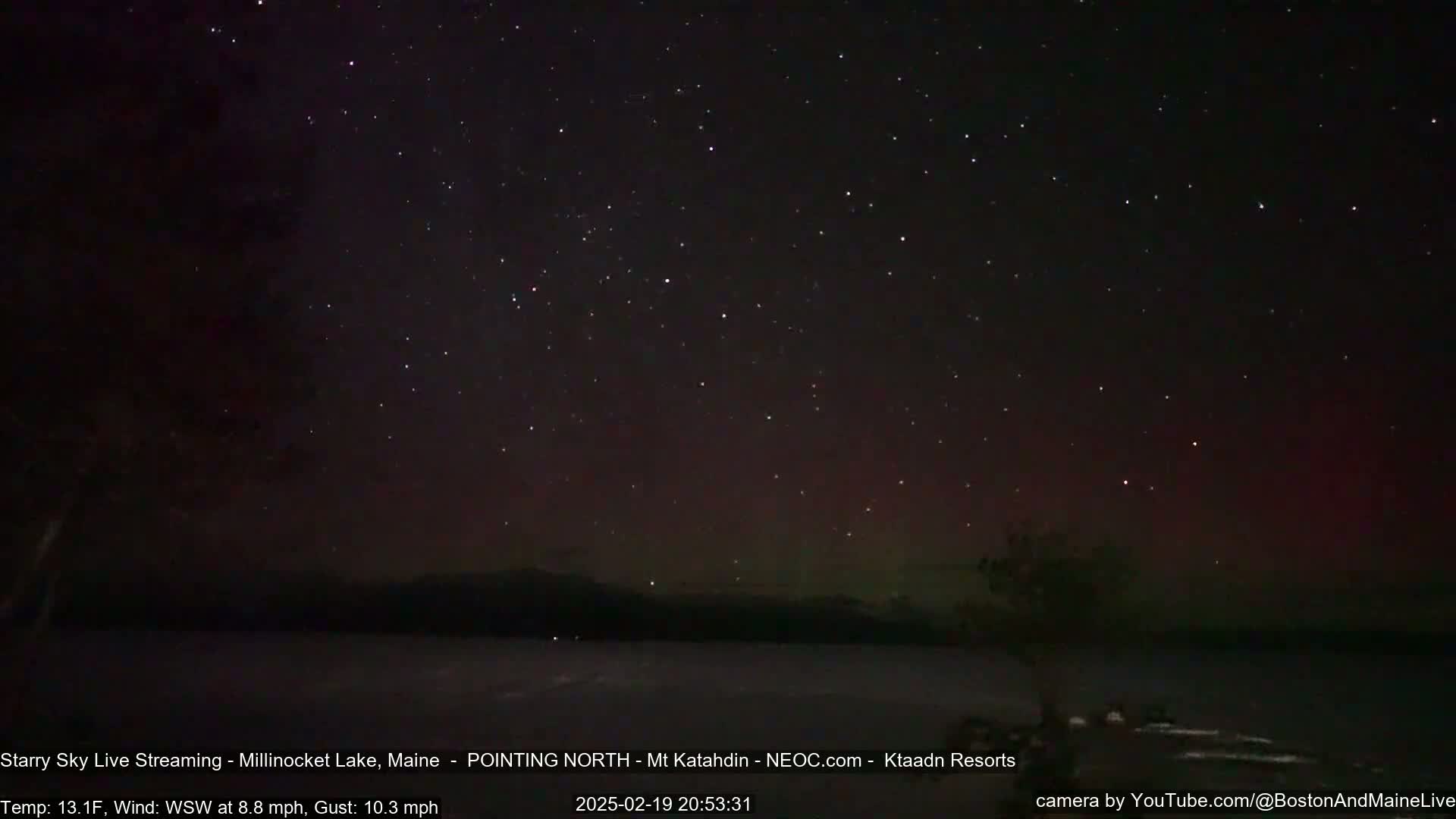 A starry night sky with a faint aurora borealis over a dark lake and silhouetted trees, under cold, windy conditions.