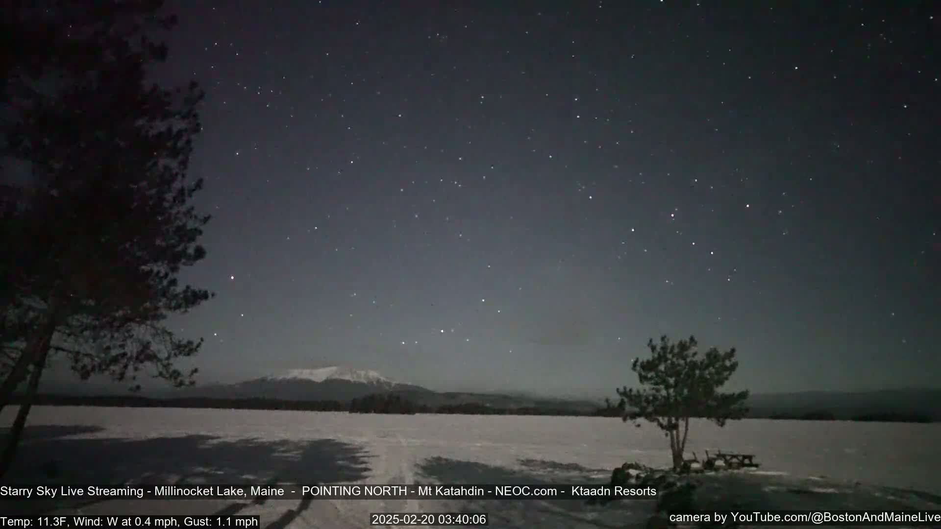 A snow-covered landscape at night shows a starry sky, a distant mountain range, and a lone tree near a picnic table under a clear, cold sky.