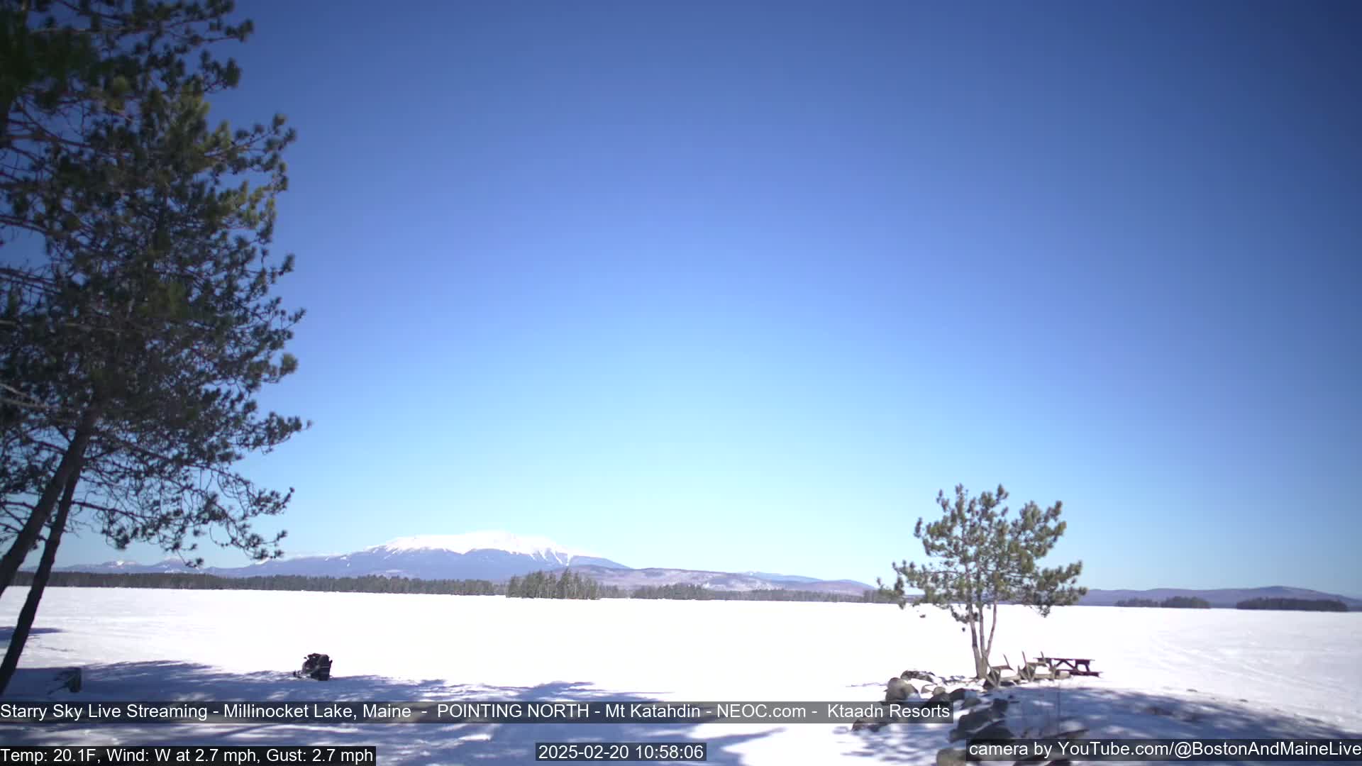 A snow-covered landscape features a frozen lake, a few evergreen trees, and a distant mountain range under a clear blue sky.