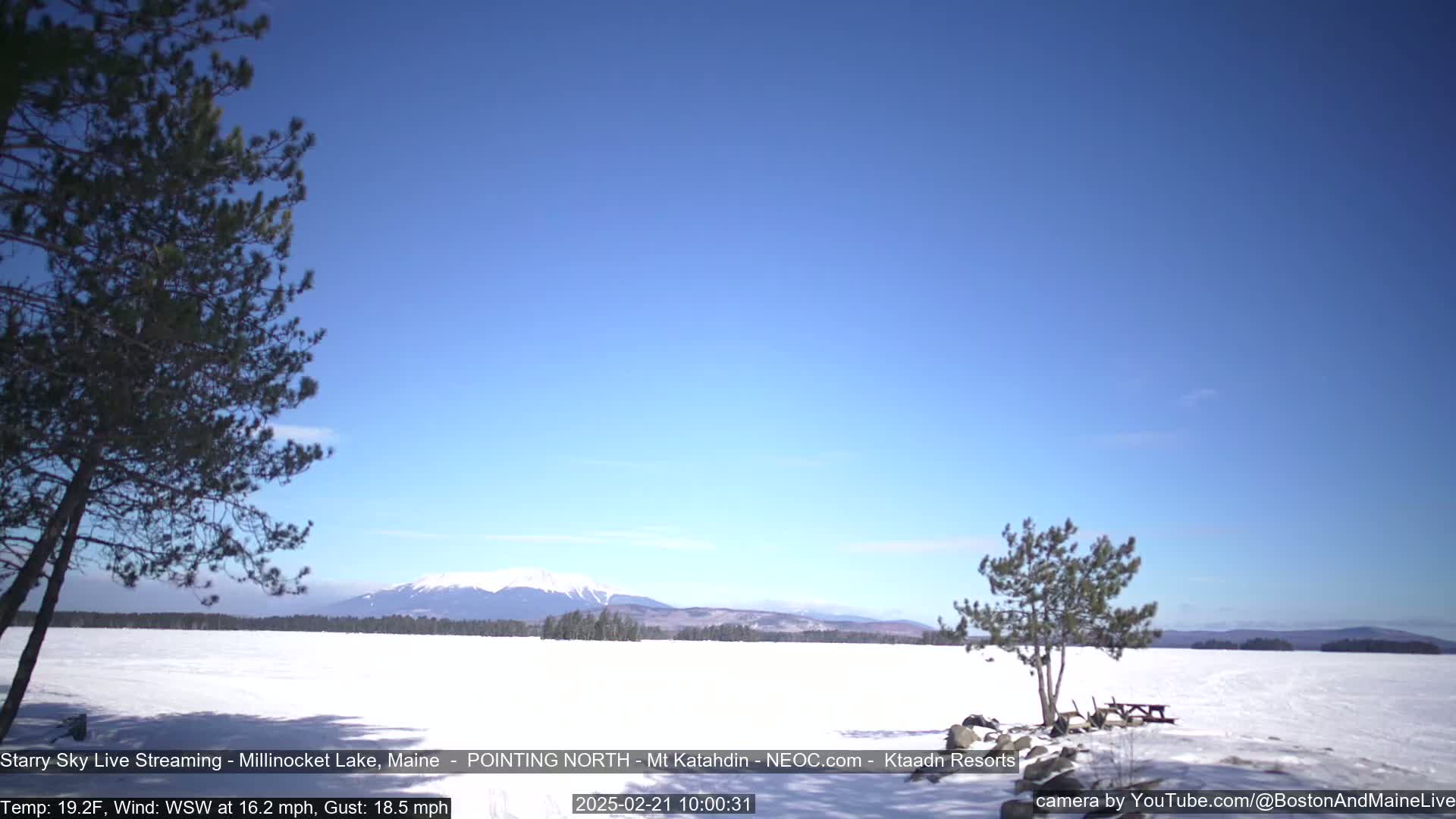 A snow-covered lake stretches towards a distant mountain range under a clear blue sky, with a few windswept trees in the foreground.