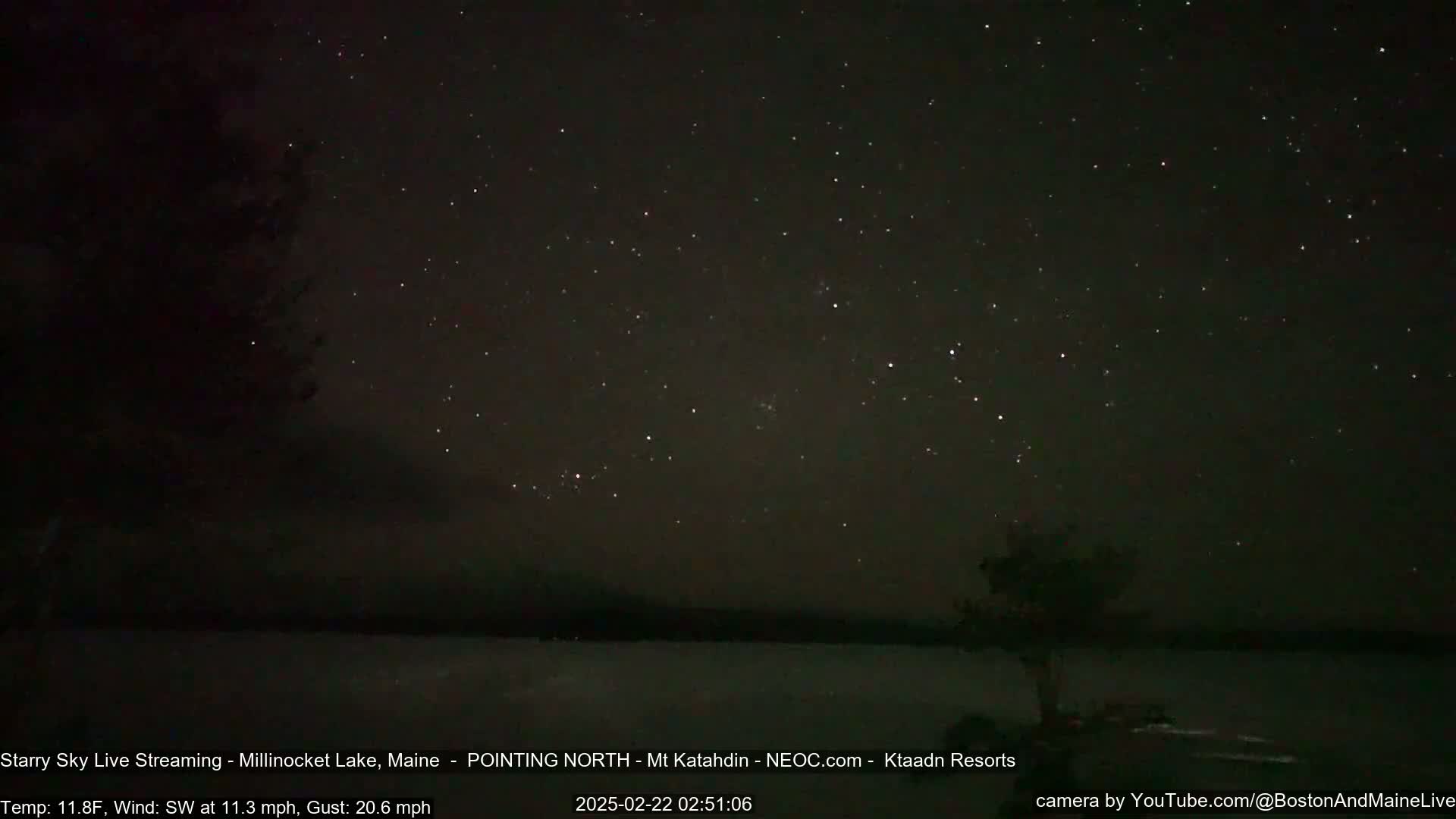 A nighttime view of a starry sky over a calm body of water, with a dark silhouette of a tree to the right, under a southwest wind of 11.3 mph with gusts up to 20.6 mph and a temperature of 11.8°F.
