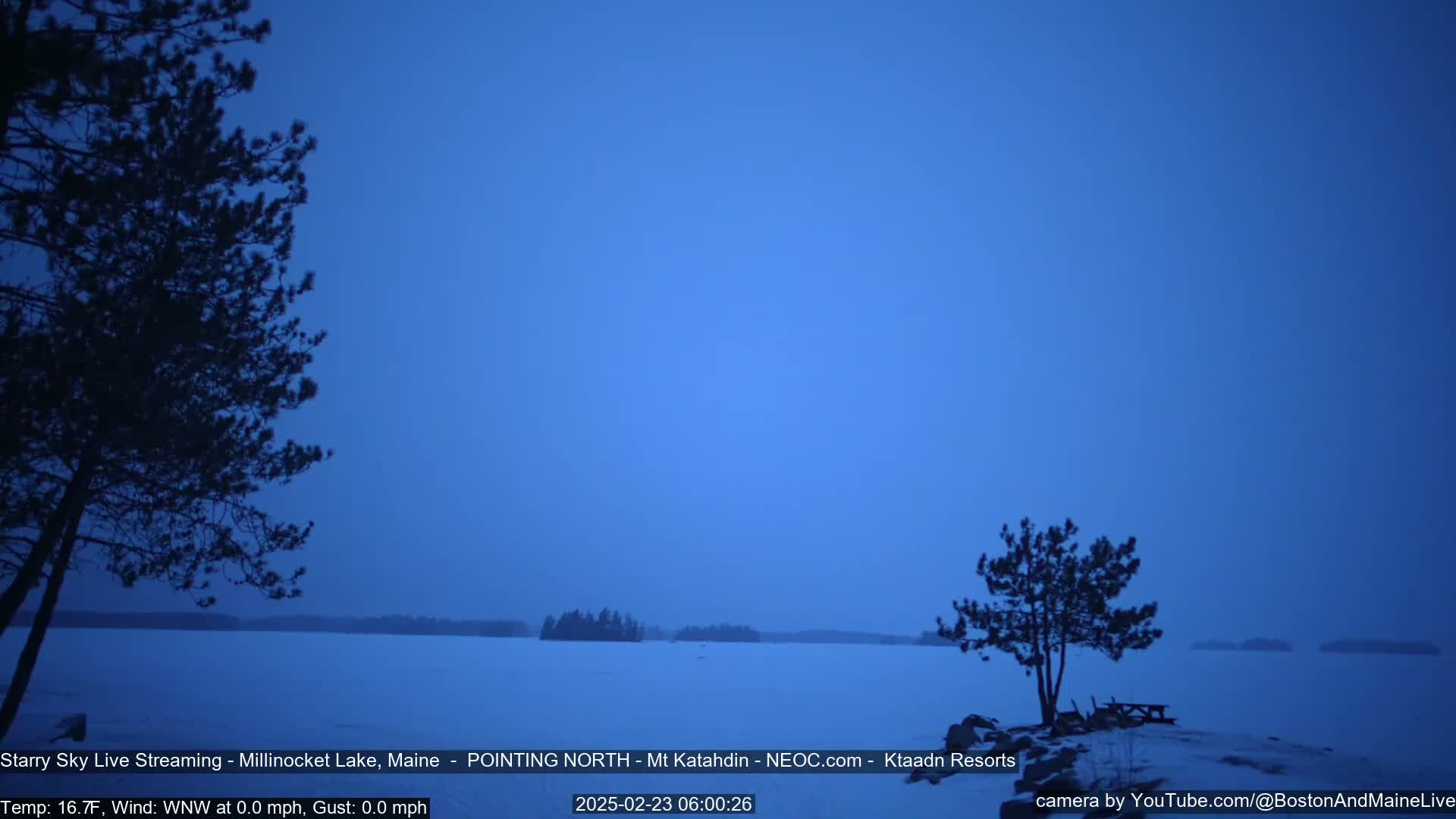 A calm, snow-covered lake is visible under a clear, twilight blue sky, with dark evergreen trees silhouetted against the horizon and in the foreground.