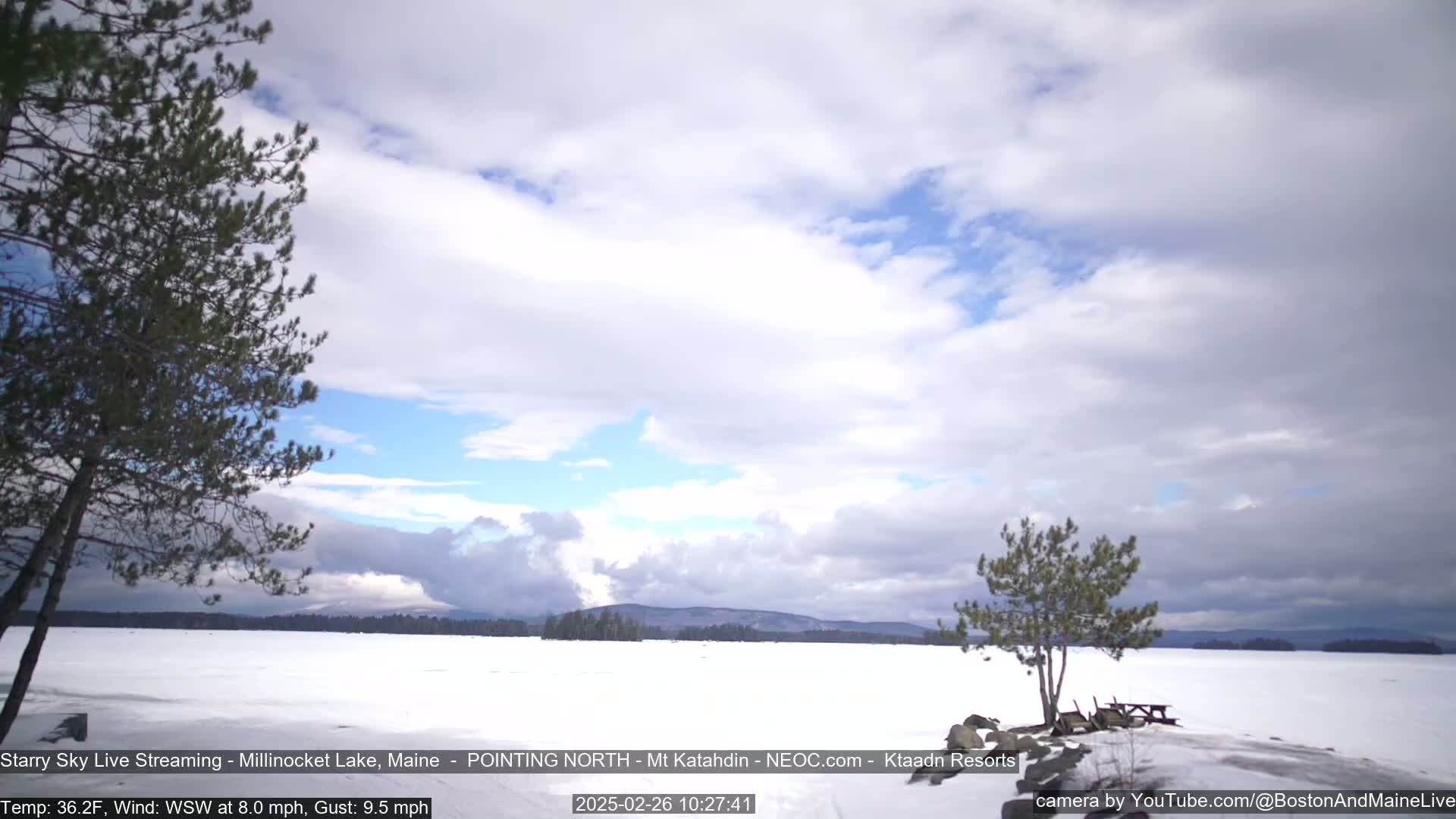 A snow-covered lake stretches to a distant, tree-lined horizon under a partly cloudy sky, with a few evergreen trees in the foreground.