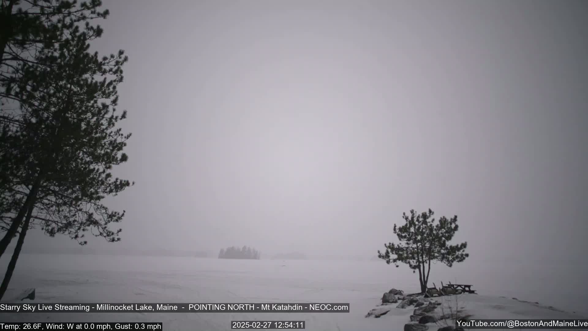 A snow-covered lake is seen through a hazy atmosphere, with two dark evergreen trees in the foreground and a distant island.