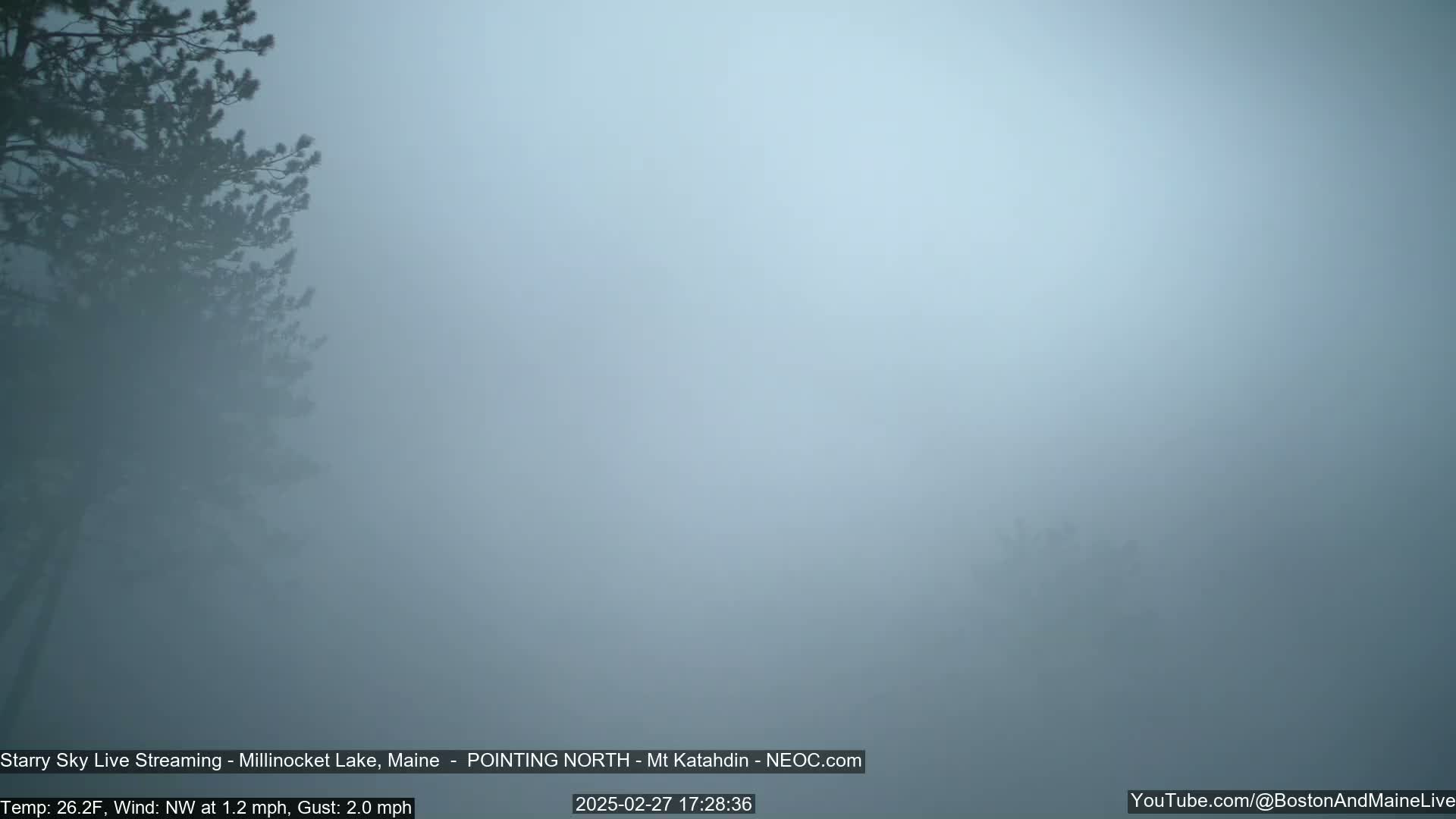 A foggy landscape shows the silhouettes of dark evergreen trees in the lower left corner.