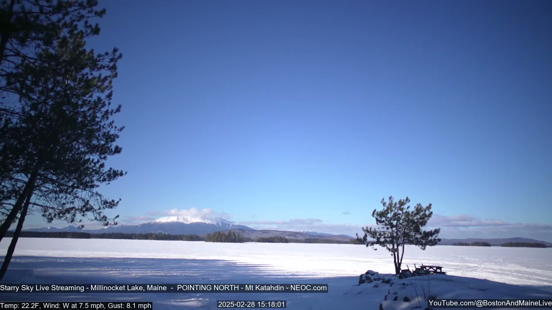 A snow-covered lake and distant mountains are visible under a clear, blue sky, with a few wispy clouds and two pine trees in the foreground.