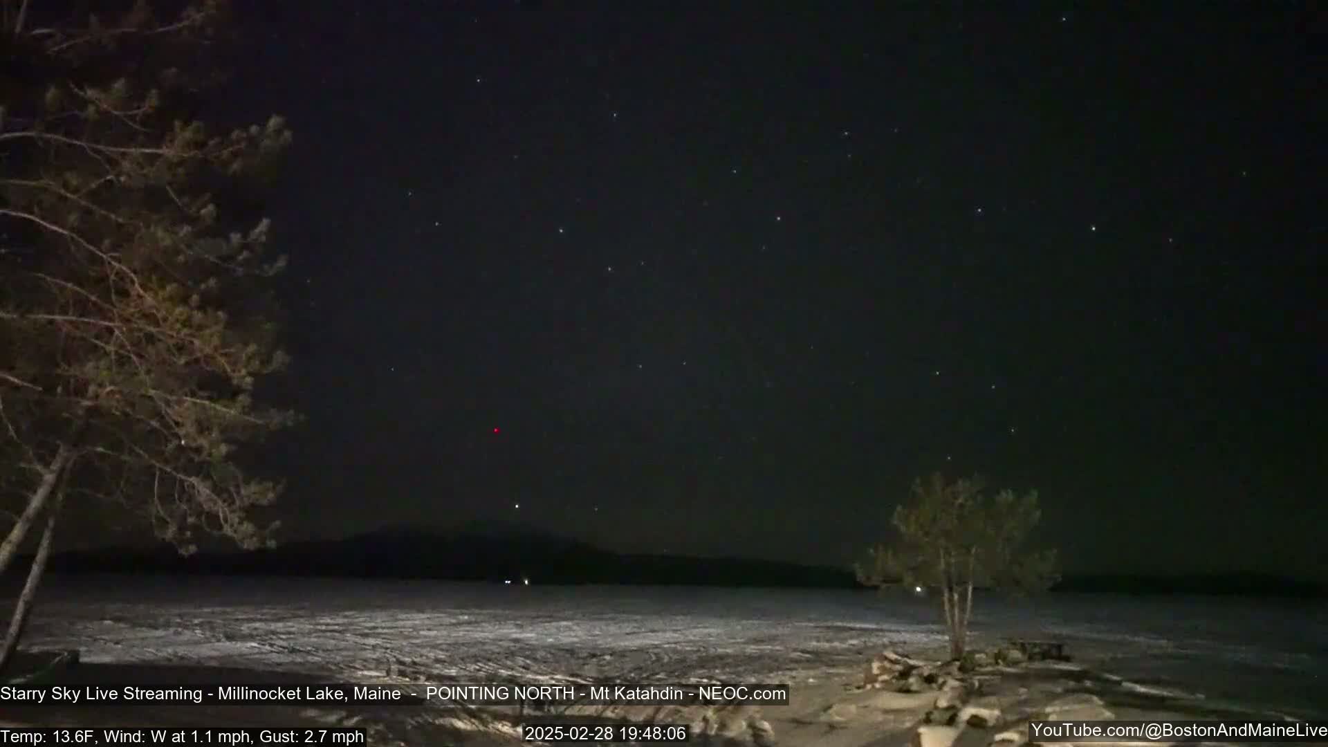 A nighttime view of a partially frozen lake under a clear, starry sky with two trees in the foreground and a distant mountain range.