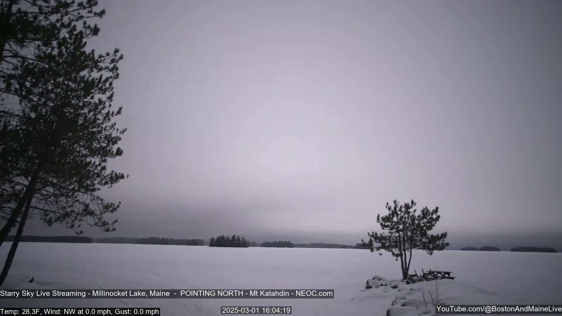 A snow-covered lake is seen under a gray, overcast sky, with a few trees sparsely scattered along the shoreline and in the foreground.