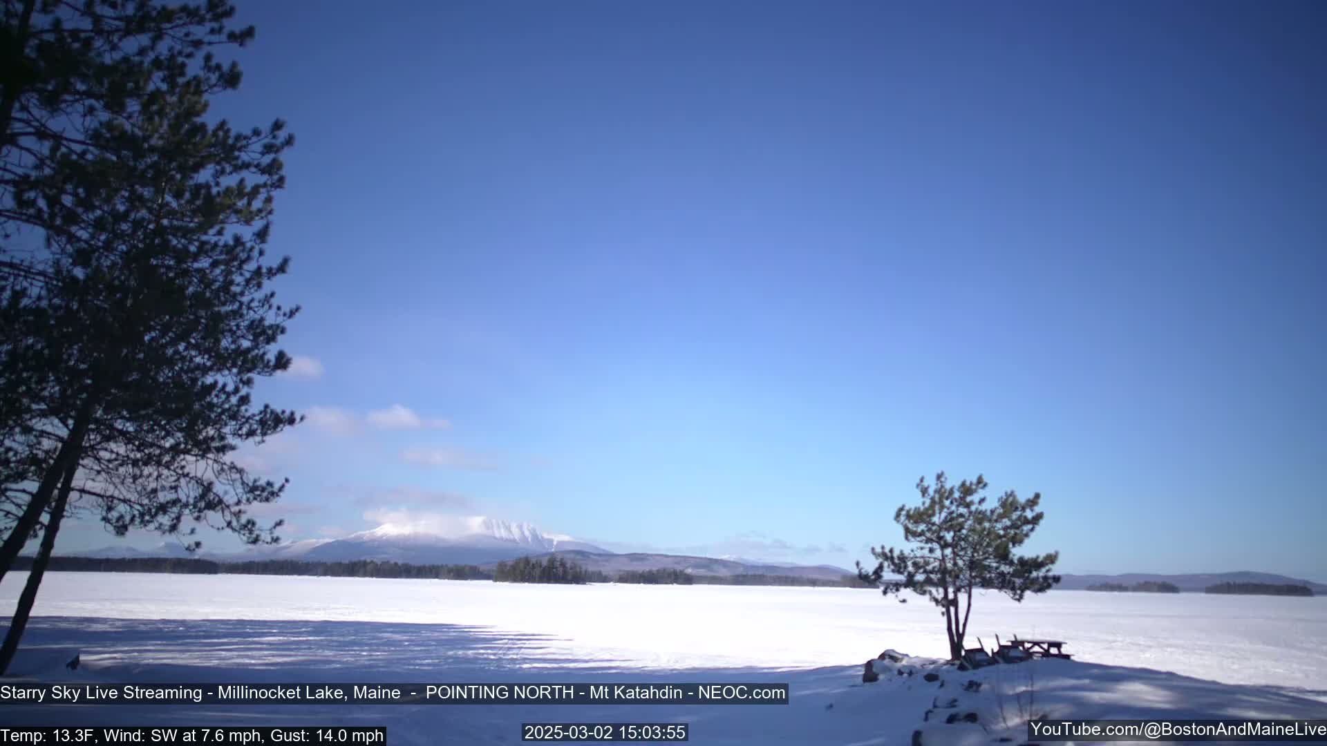 A snow-covered lake stretches to a distant mountain range under a clear blue sky, with two small evergreen trees in the foreground.