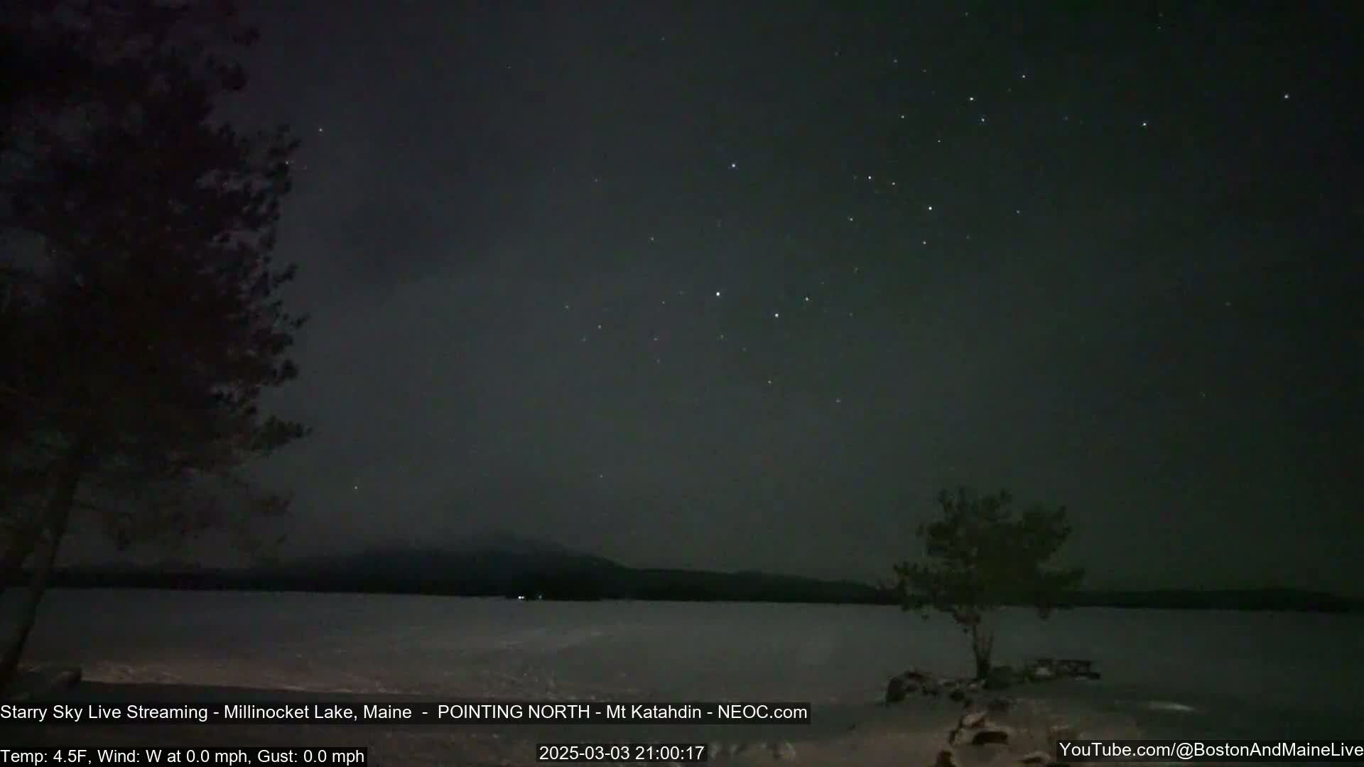 A calm, starry night sky over a dark lake, with trees silhouetted against the horizon.