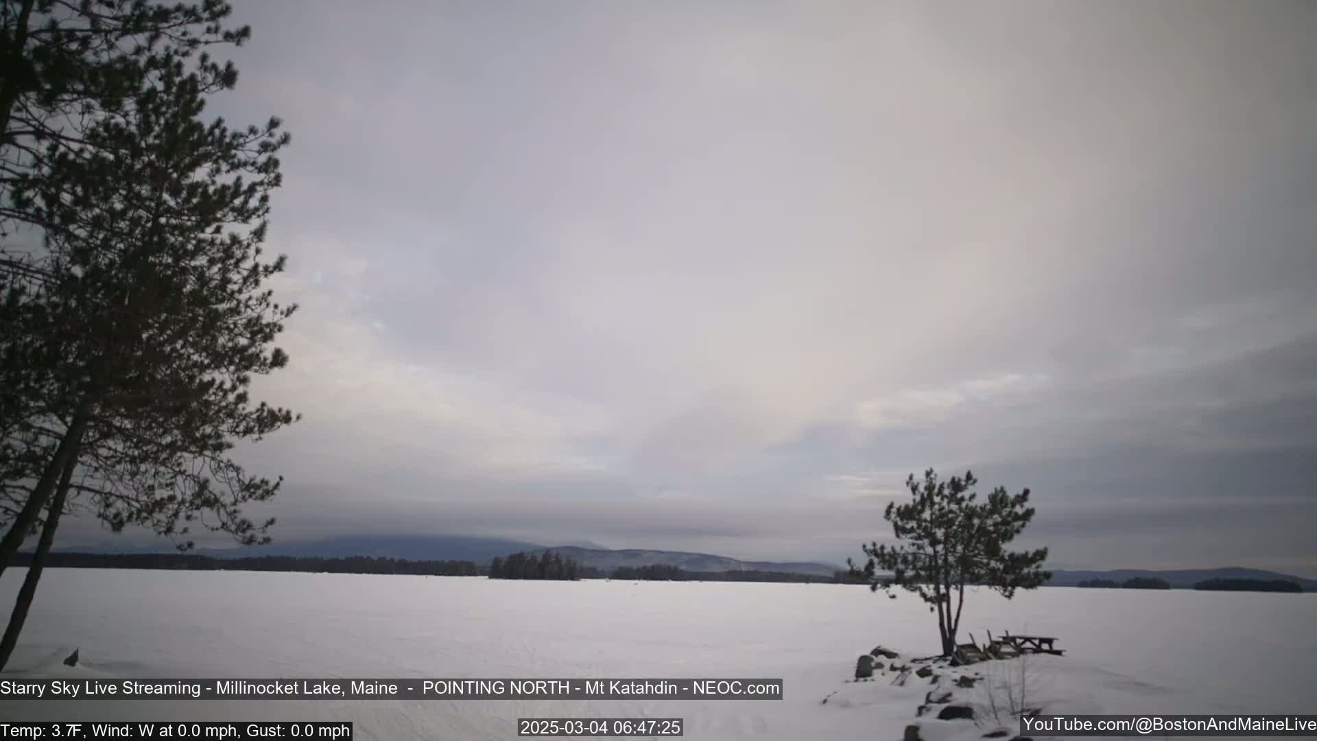 A snow-covered lake with a calm, overcast sky is seen from a shoreline with two evergreen trees and a picnic table.
