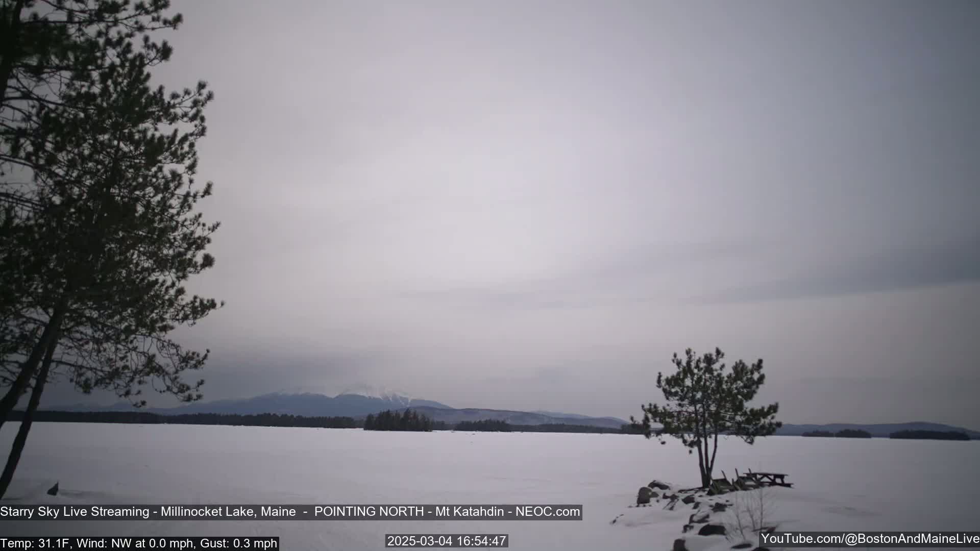 A snow-covered lake with distant mountains under a cloudy, overcast sky, framed by two pine trees in the foreground.