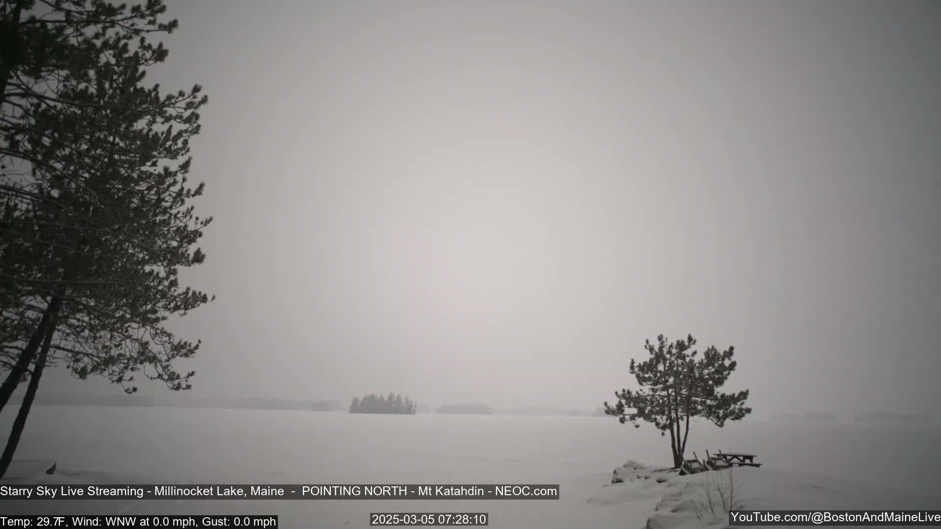 A snow-covered lake is visible through a heavy, gray fog, with two small evergreen trees in the foreground and a small island in the distance.