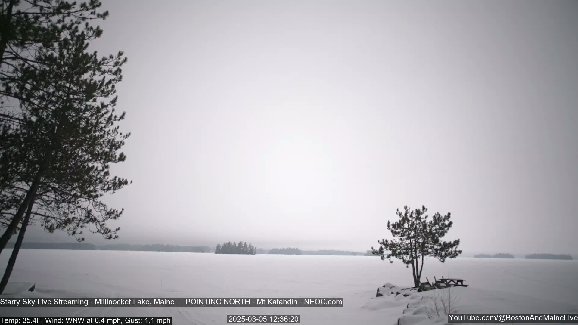 A snow-covered frozen lake stretches to the horizon under a gray, overcast sky, with a few dark evergreen trees visible on the shore.