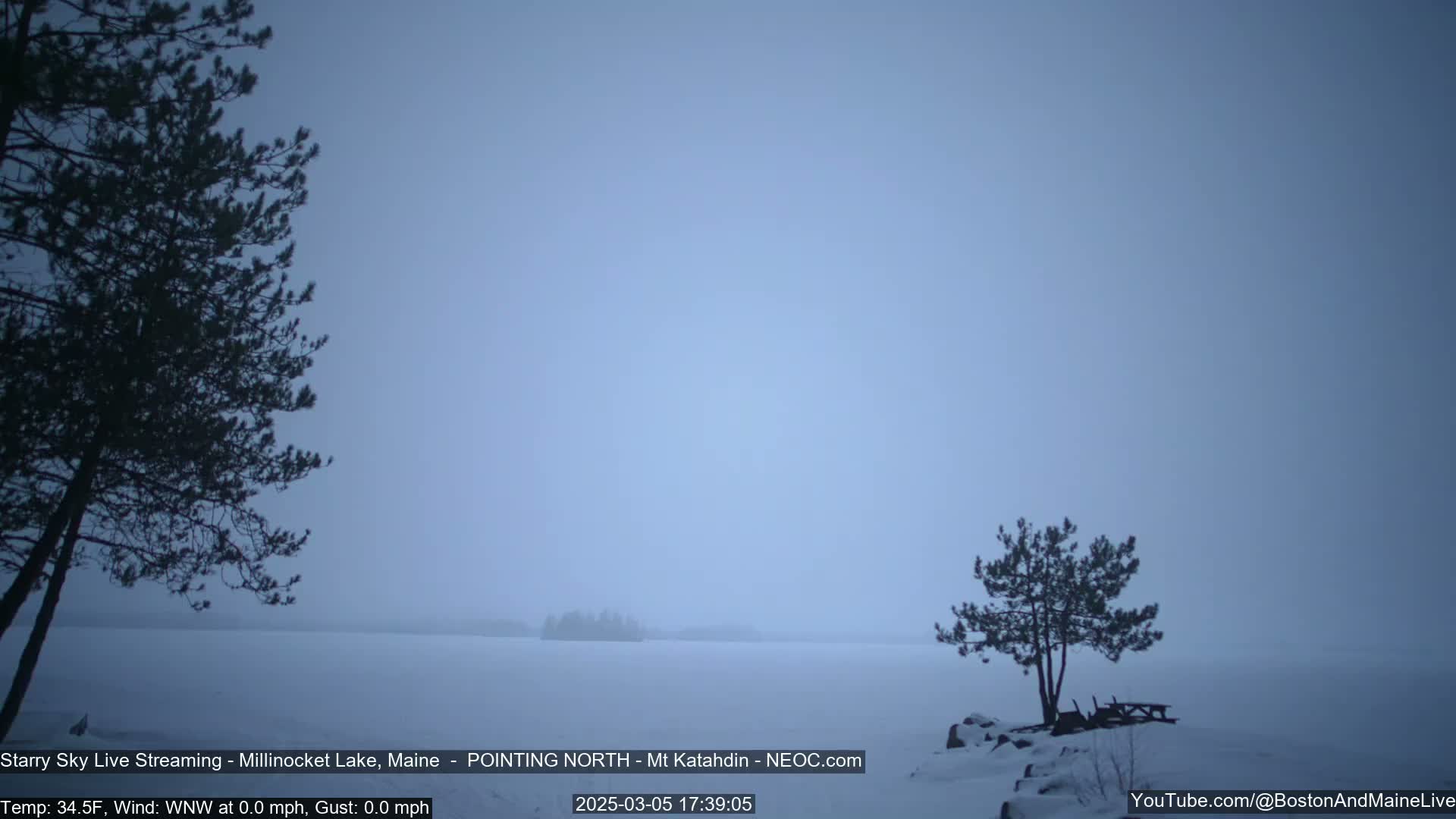 A hazy, cold, and still day is depicted, showing a frozen lake with distant trees and two small evergreens on a snow-covered shoreline.