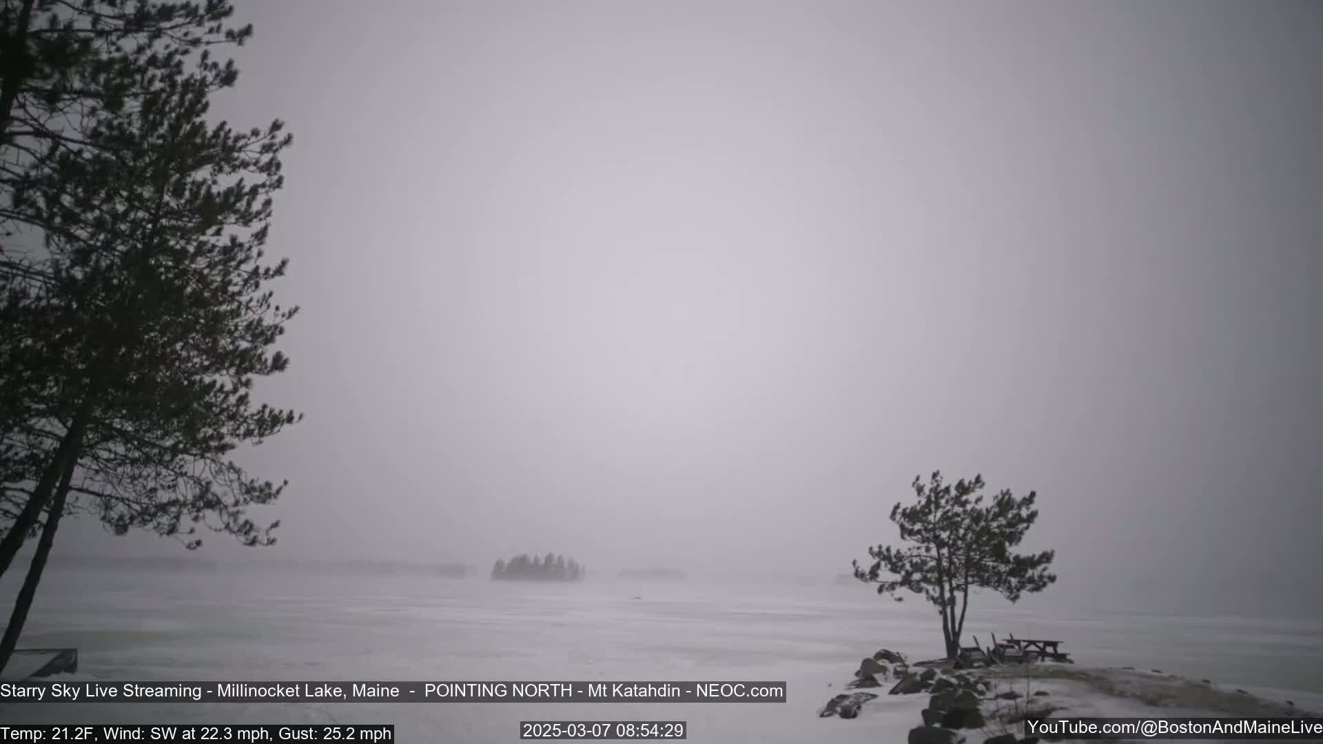 A snowy, overcast landscape shows a frozen lake with two small trees in the foreground and some islands in the distance.