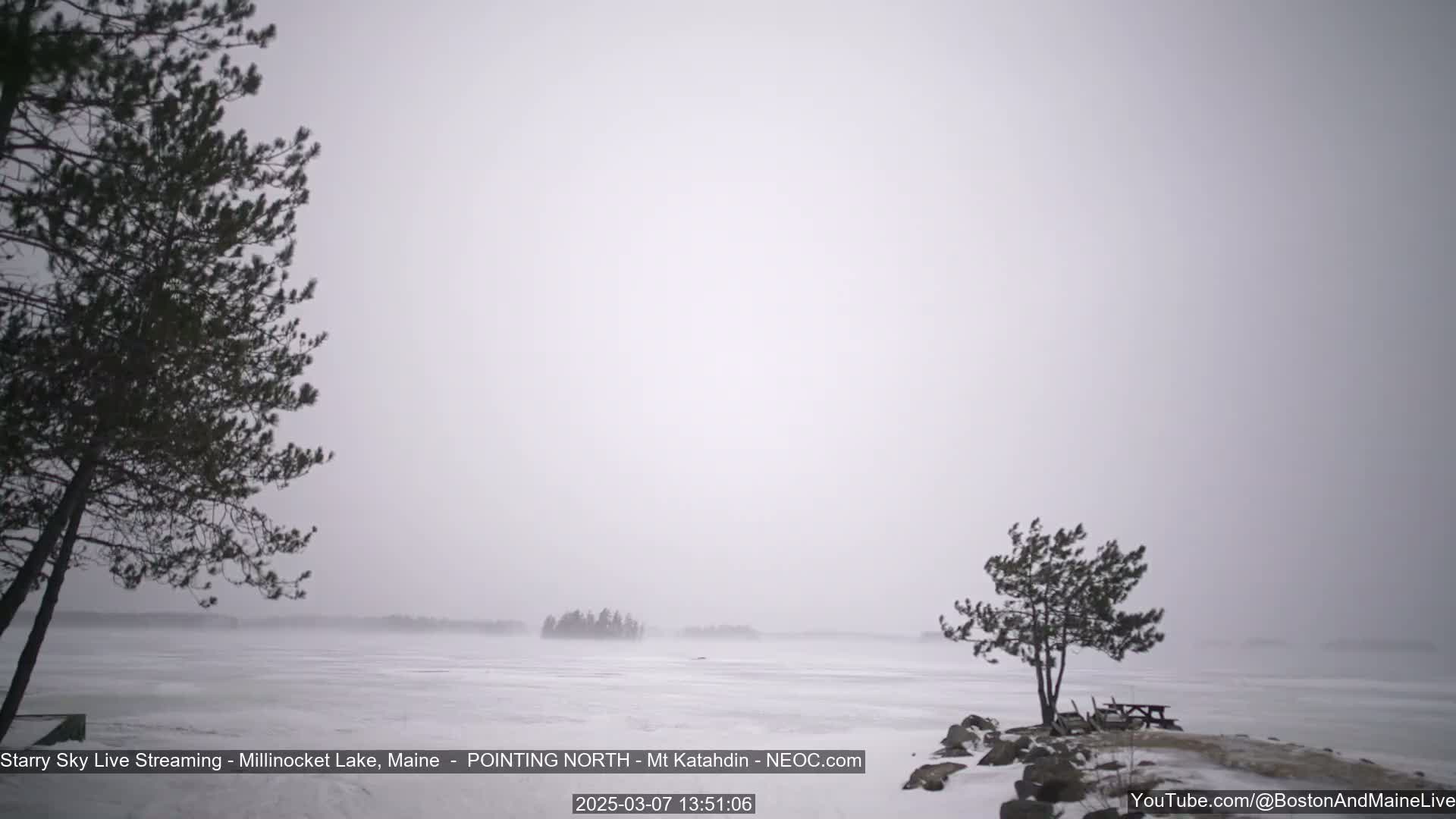 A snow-covered lake is visible through a blowing snowstorm, with sparse trees lining the shore.