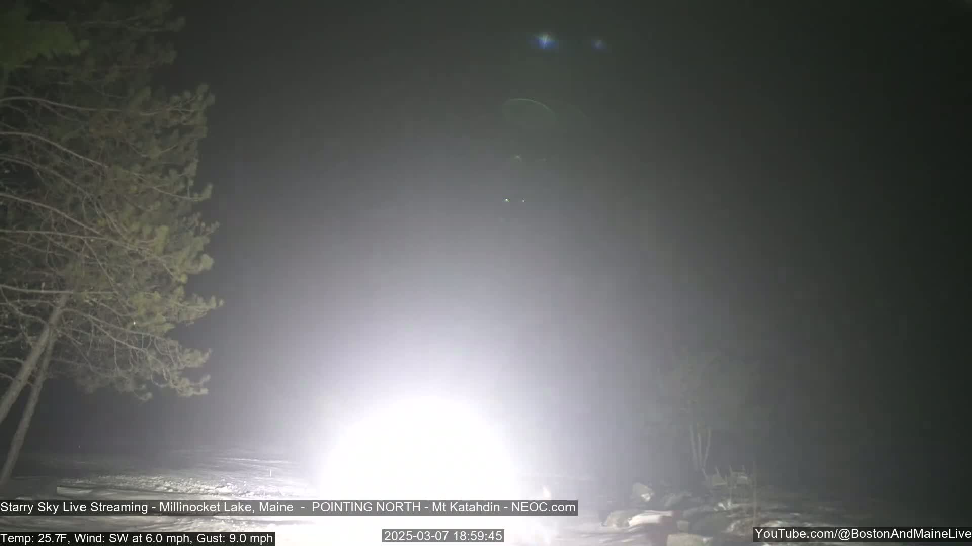 A nighttime, foggy scene shows a bright light in the foreground and silhouetted trees on either side.