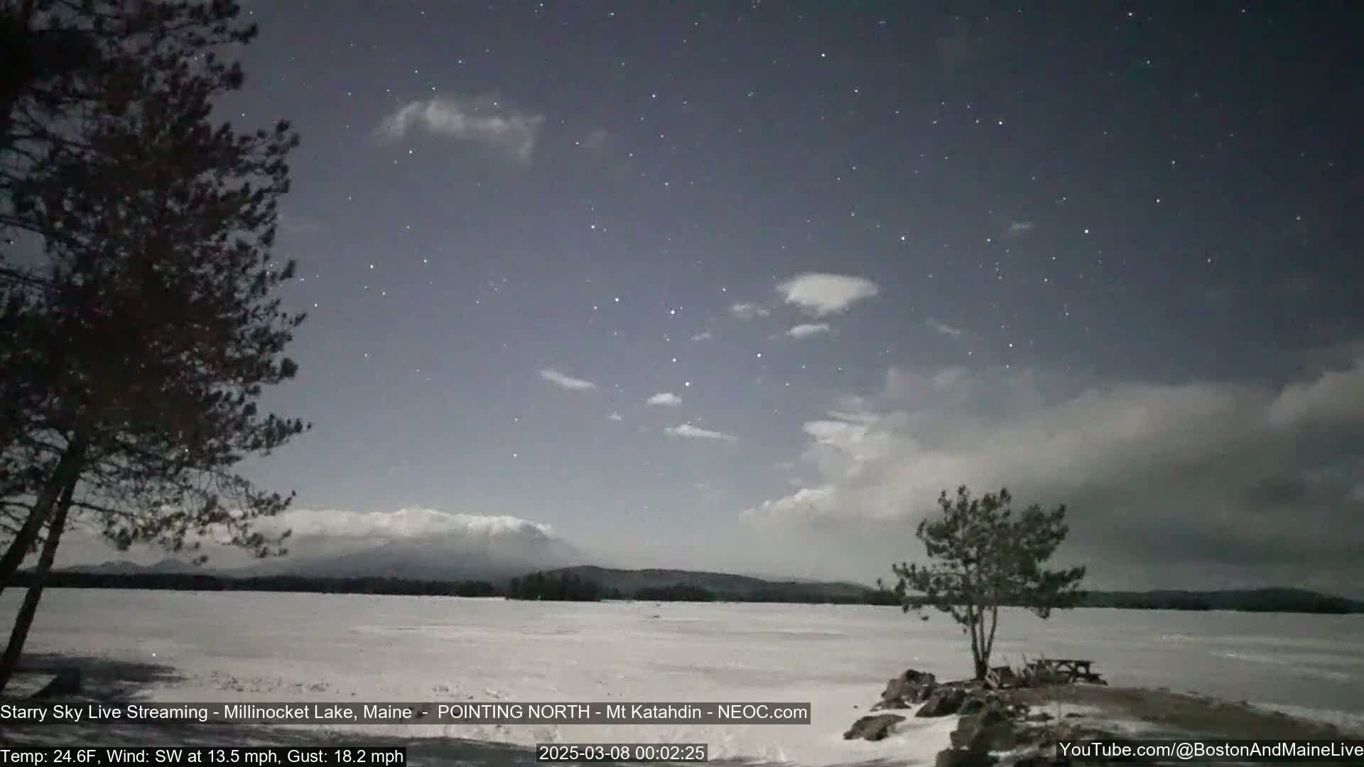A snow-covered lake is seen under a partly cloudy night sky filled with stars, with a few trees in the foreground and distant mountains visible on the horizon.