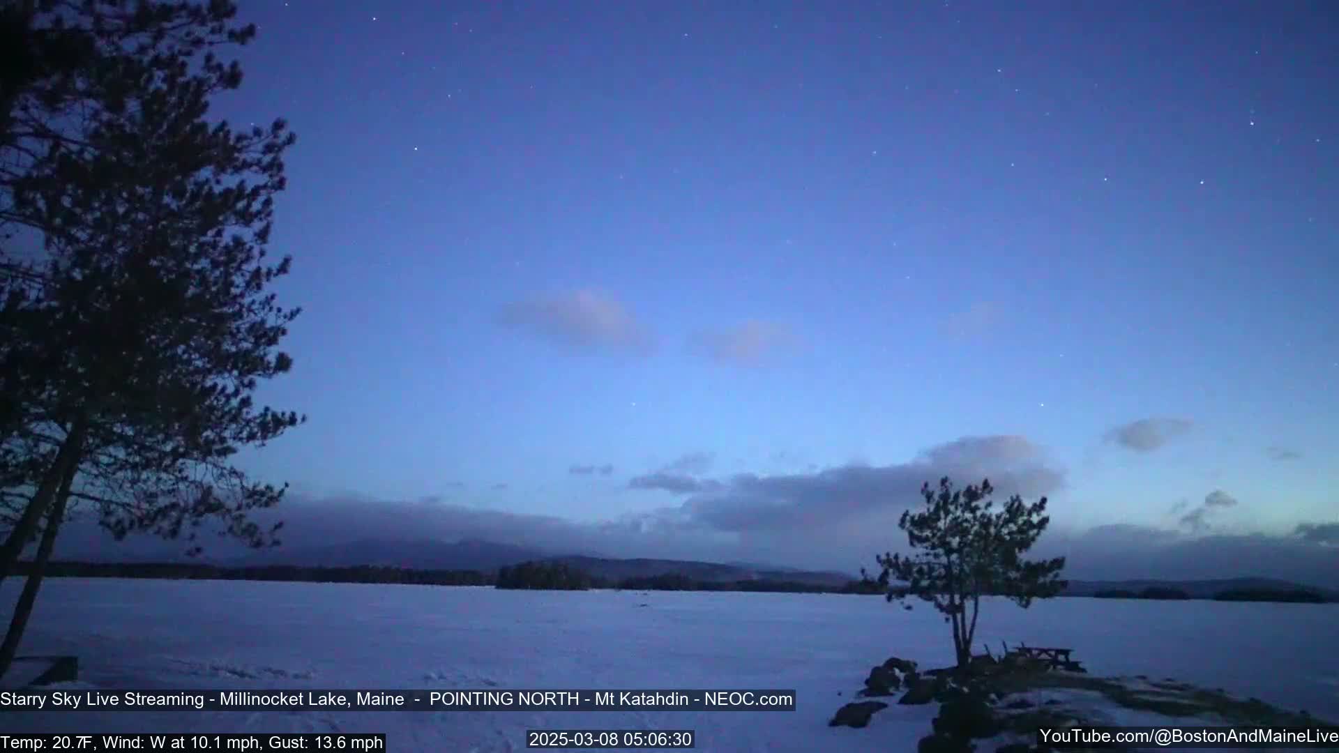 A snow-covered lake is visible under a twilight sky dotted with stars and a few clouds, with two silhouetted pine trees in the foreground.