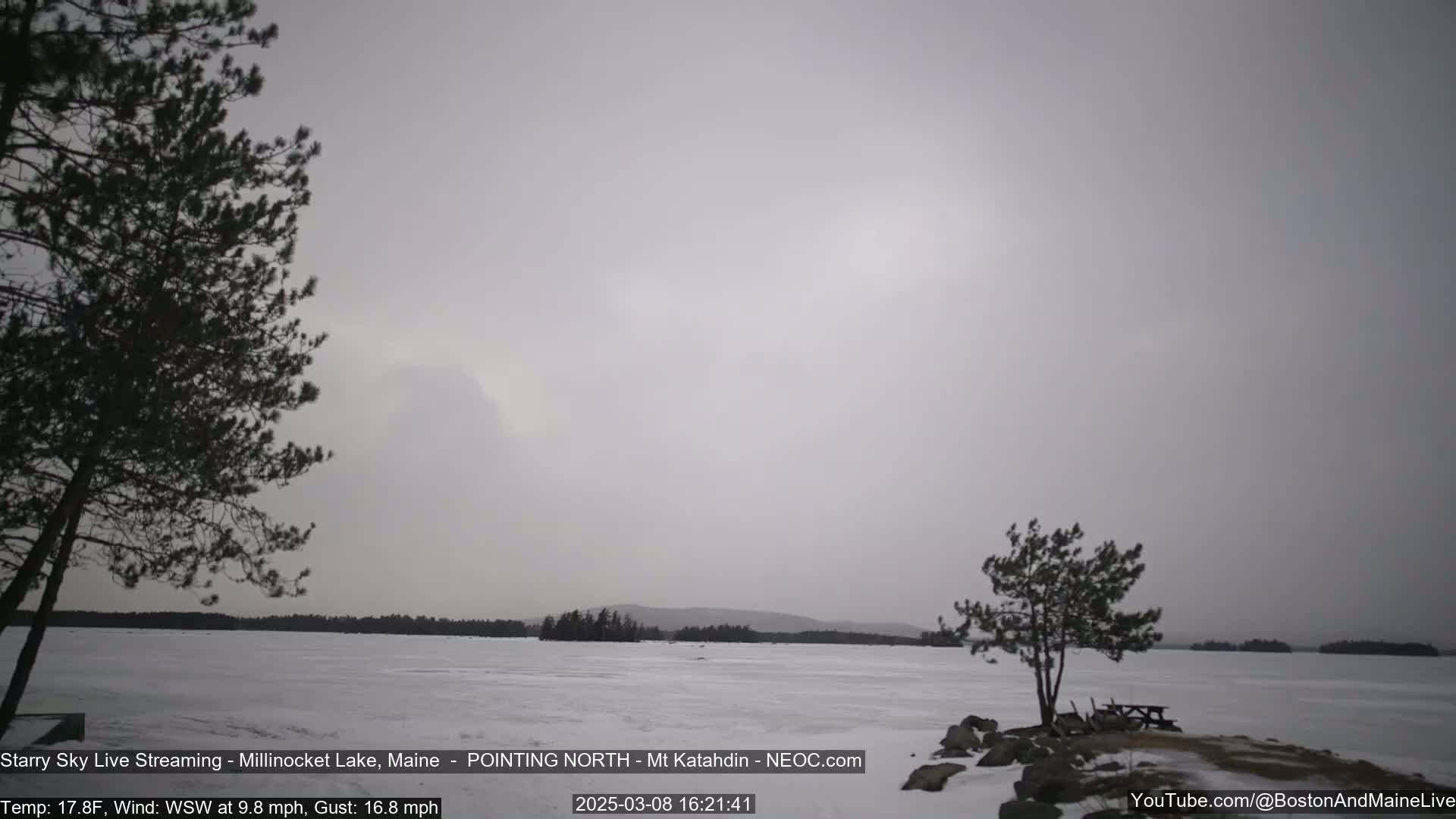 A frozen lake is visible under an overcast sky, with two pine trees in the foreground and a distant shoreline.