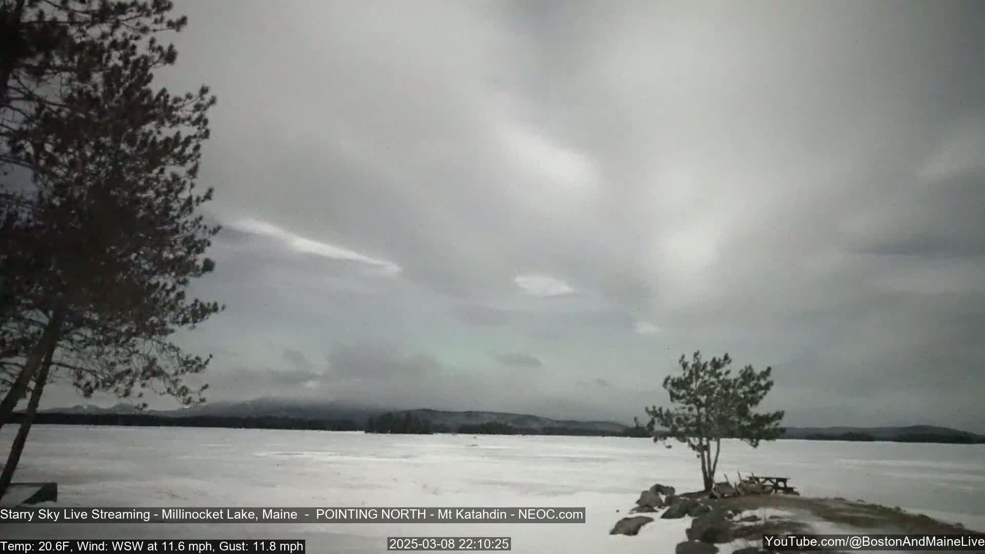 A snow-covered lake is visible under an overcast sky, with distant mountains and two small trees in the foreground.