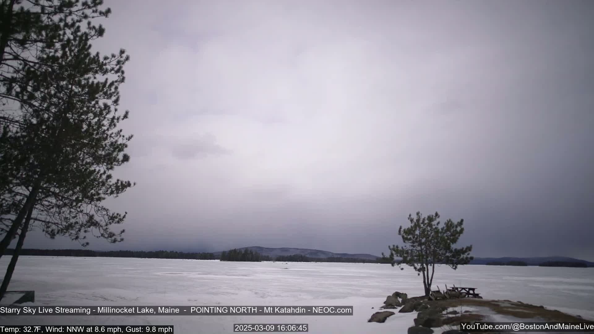 A frozen lake is visible under an overcast sky, with a few trees and rocks near the shoreline in a cold, windy landscape.