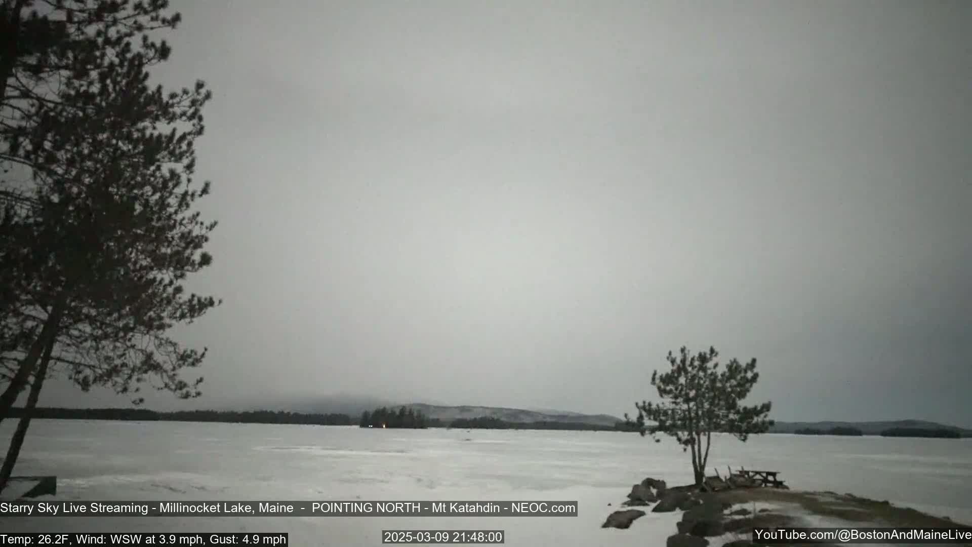A partially frozen lake is seen under an overcast sky, with a few trees in the foreground and a distant, snow-dusted shoreline.