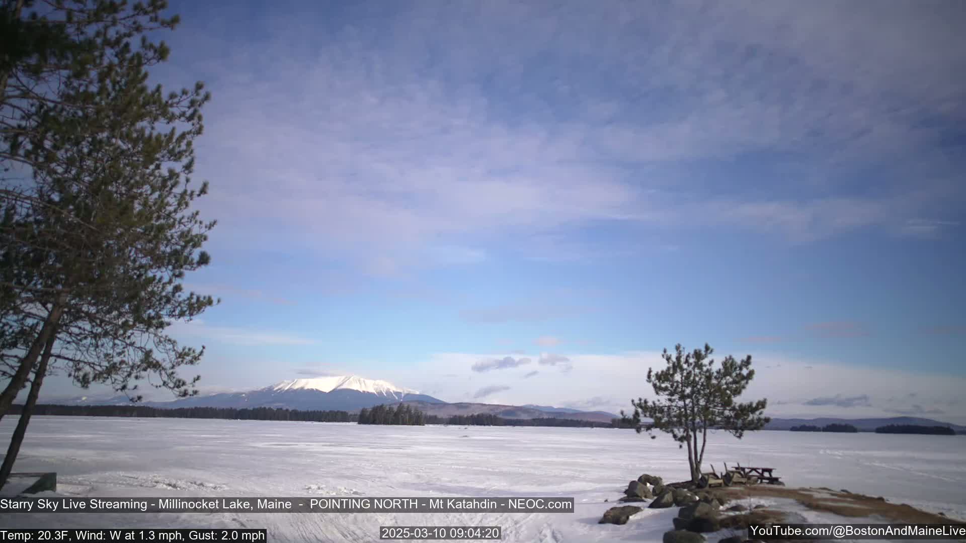 A snow-covered lake with two pine trees in the foreground and a mountain range in the background under a mostly clear, light blue sky.