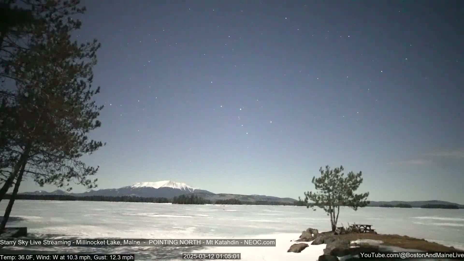 A snow-covered lake under a starry night sky, with a mountain range visible in the distance and a few trees near the shore.