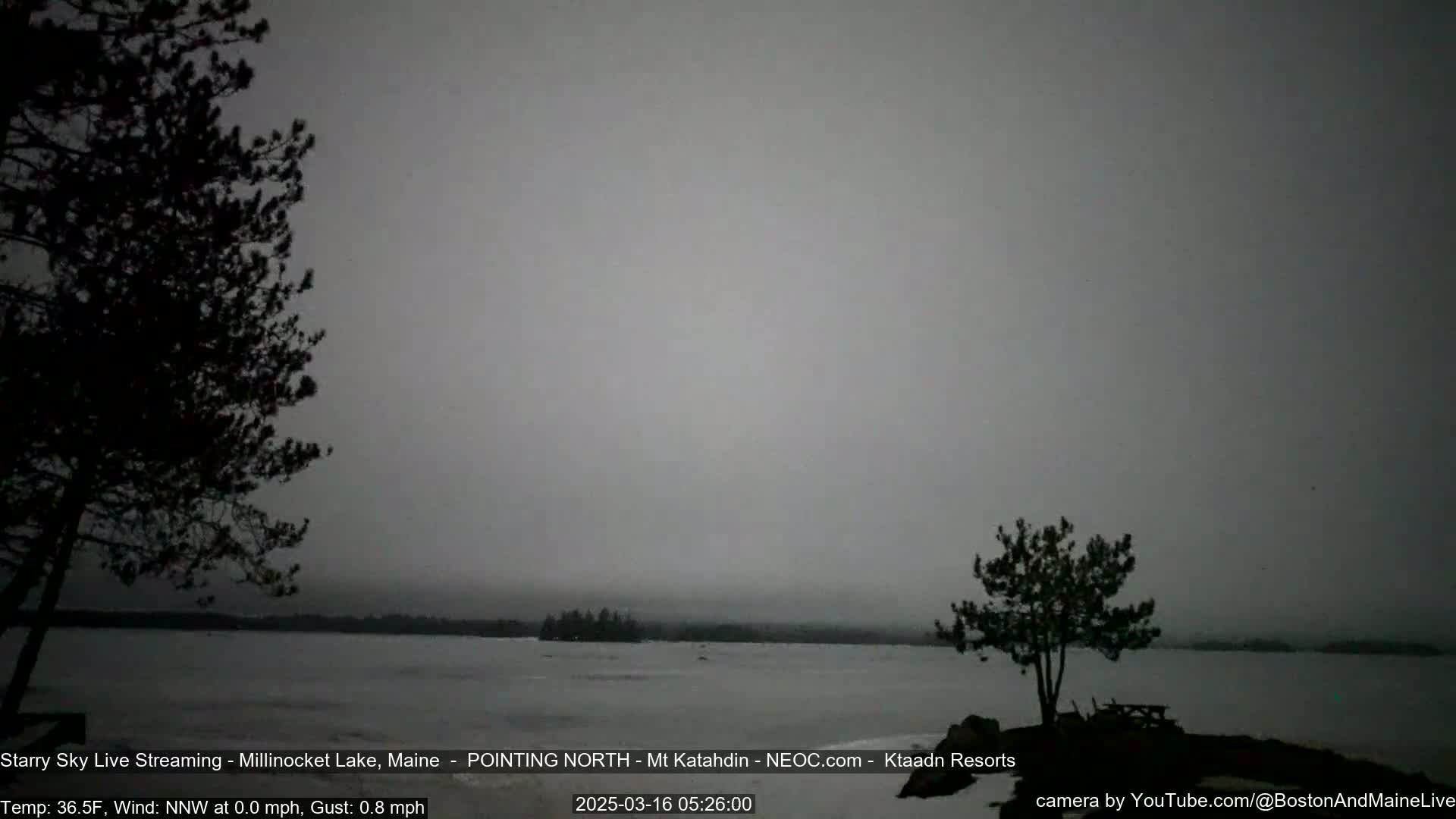 A calm, overcast day shows a frozen lake with dark trees silhouetted against a gray sky.