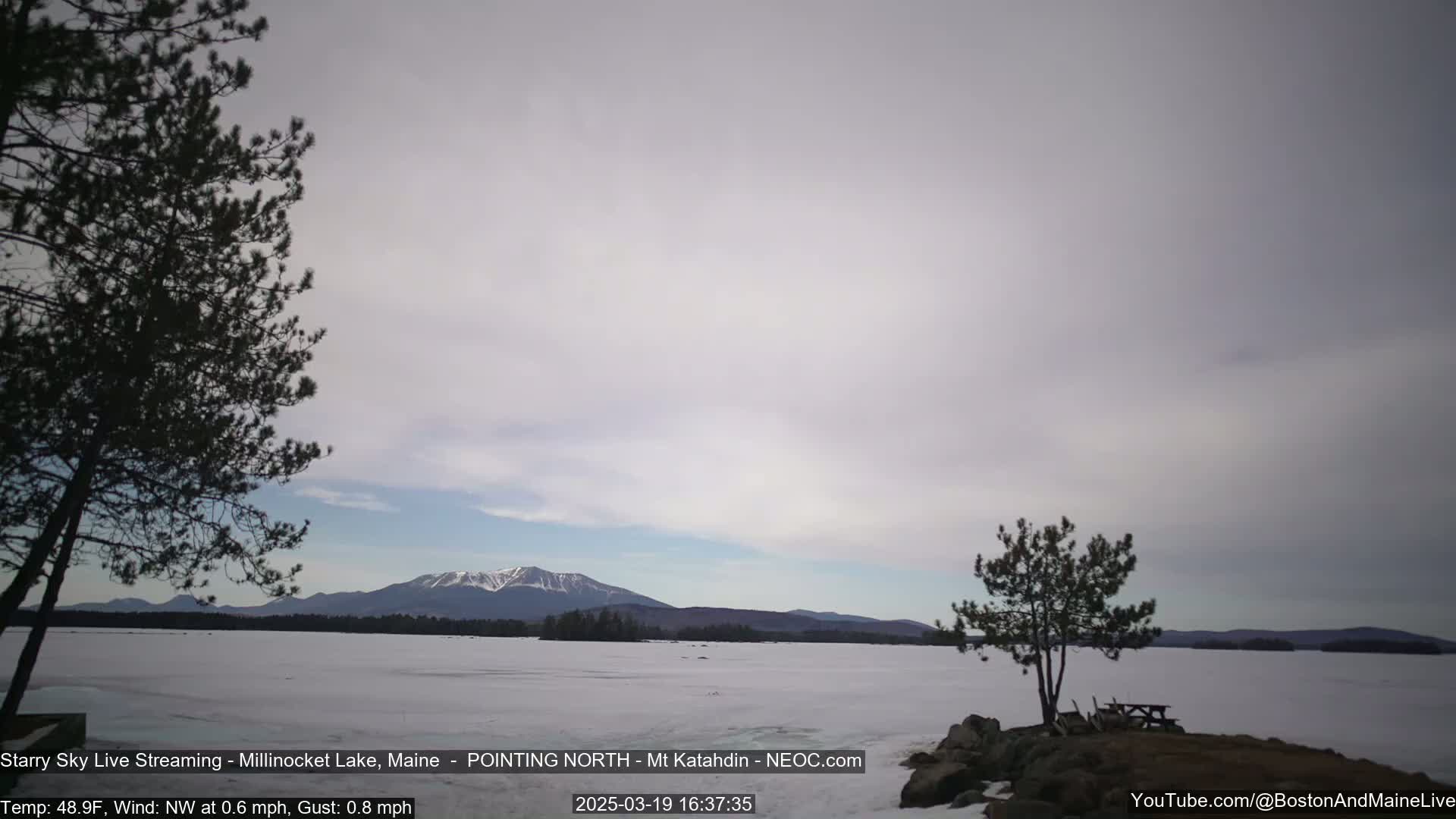 A snow-covered lake, under a mostly cloudy sky, with a mountain range in the background and two small evergreen trees in the foreground.