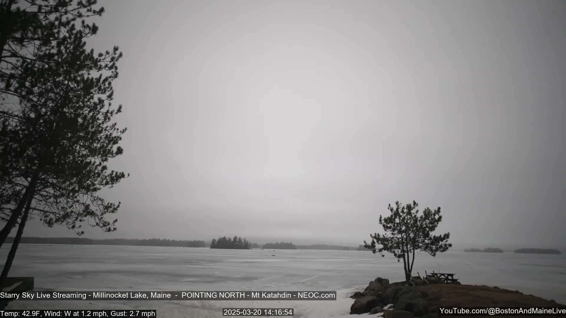 A partially frozen lake is visible under an overcast sky, with a few dark evergreen trees in the foreground and background.