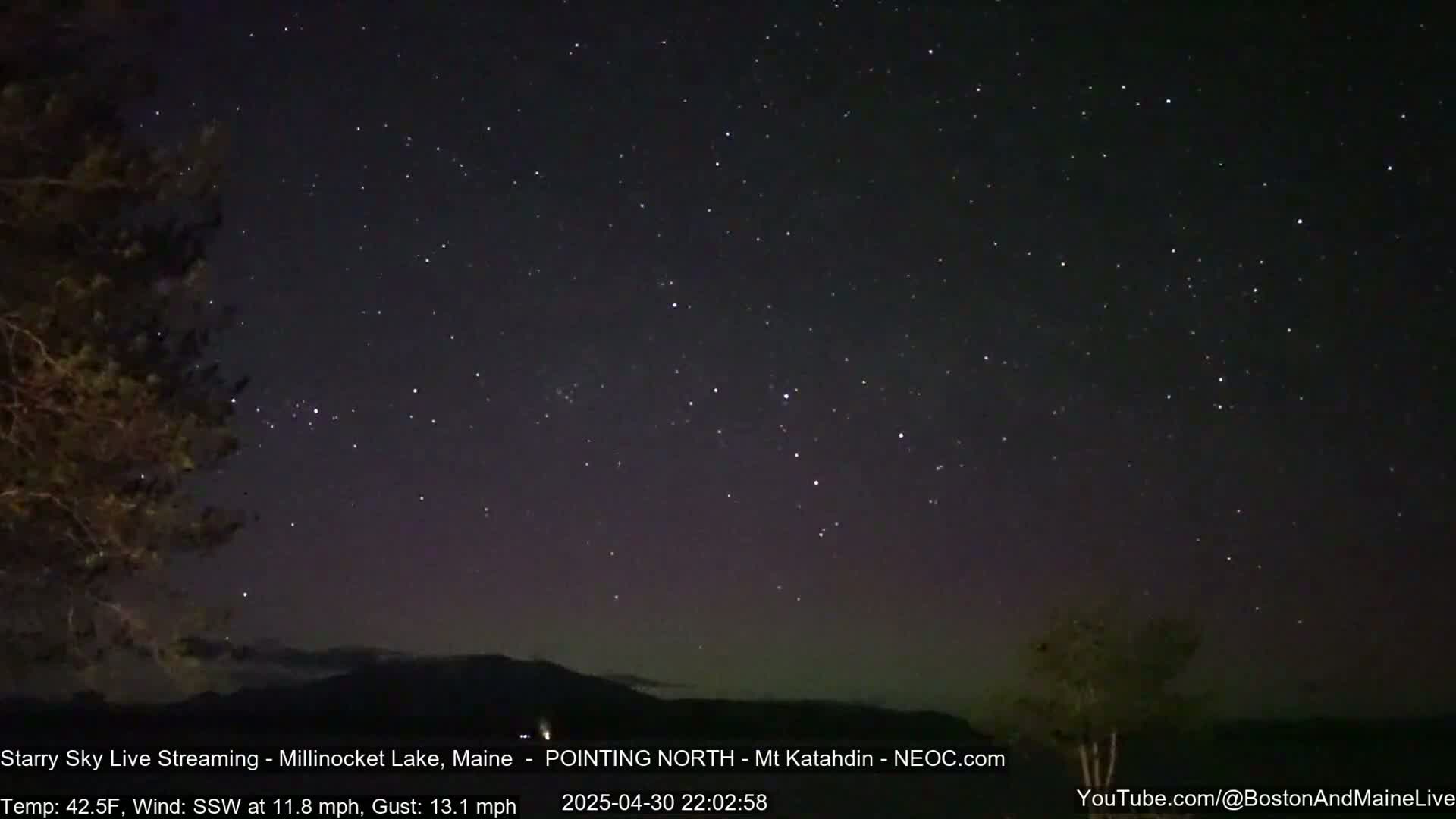A night sky filled with stars above a dark silhouette of trees and distant mountains under a 42.5°F temperature with a southwest wind at 11.8 mph and gusts up to 13.1 mph.
