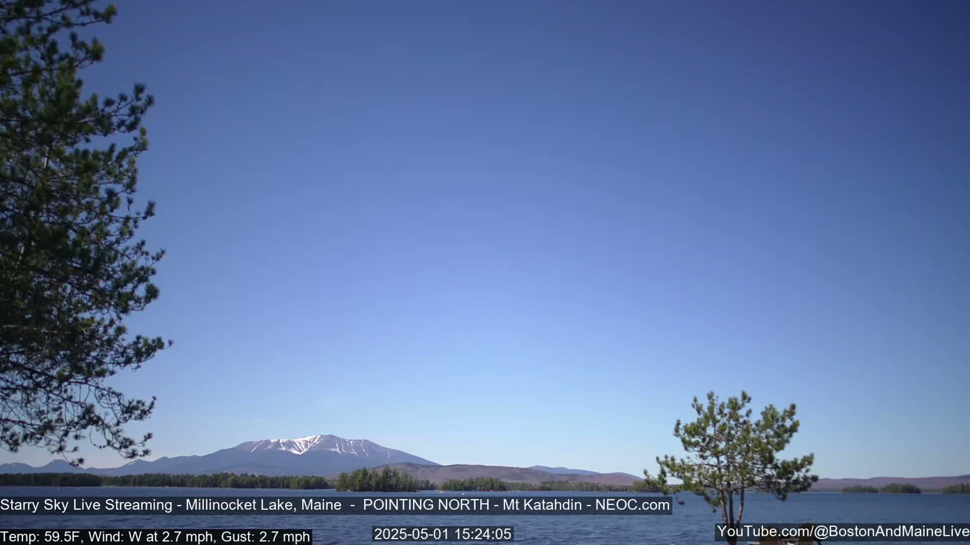 A clear blue sky over a calm lake with a snow-capped mountain in the distance and a few trees visible in the foreground.