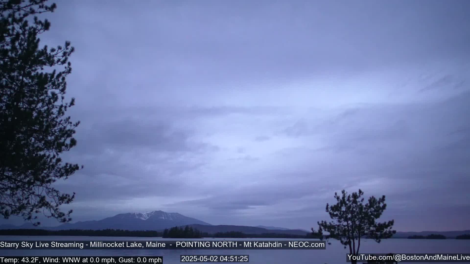 A calm, overcast, twilight scene shows a lake with a snow-capped mountain in the distance, framed by dark silhouettes of pine trees.