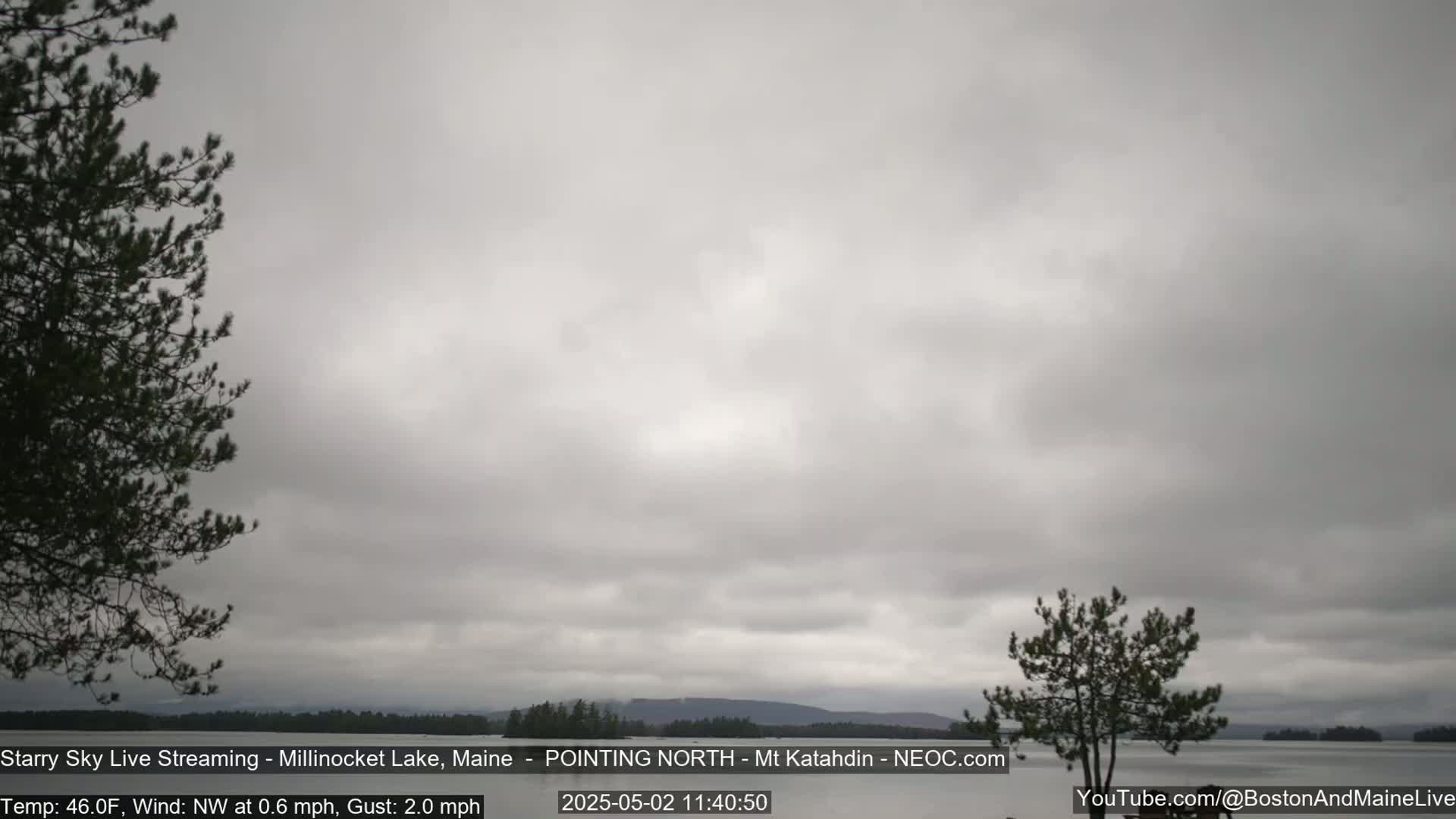 A lake is seen under an overcast sky, with trees framing the view on either side.