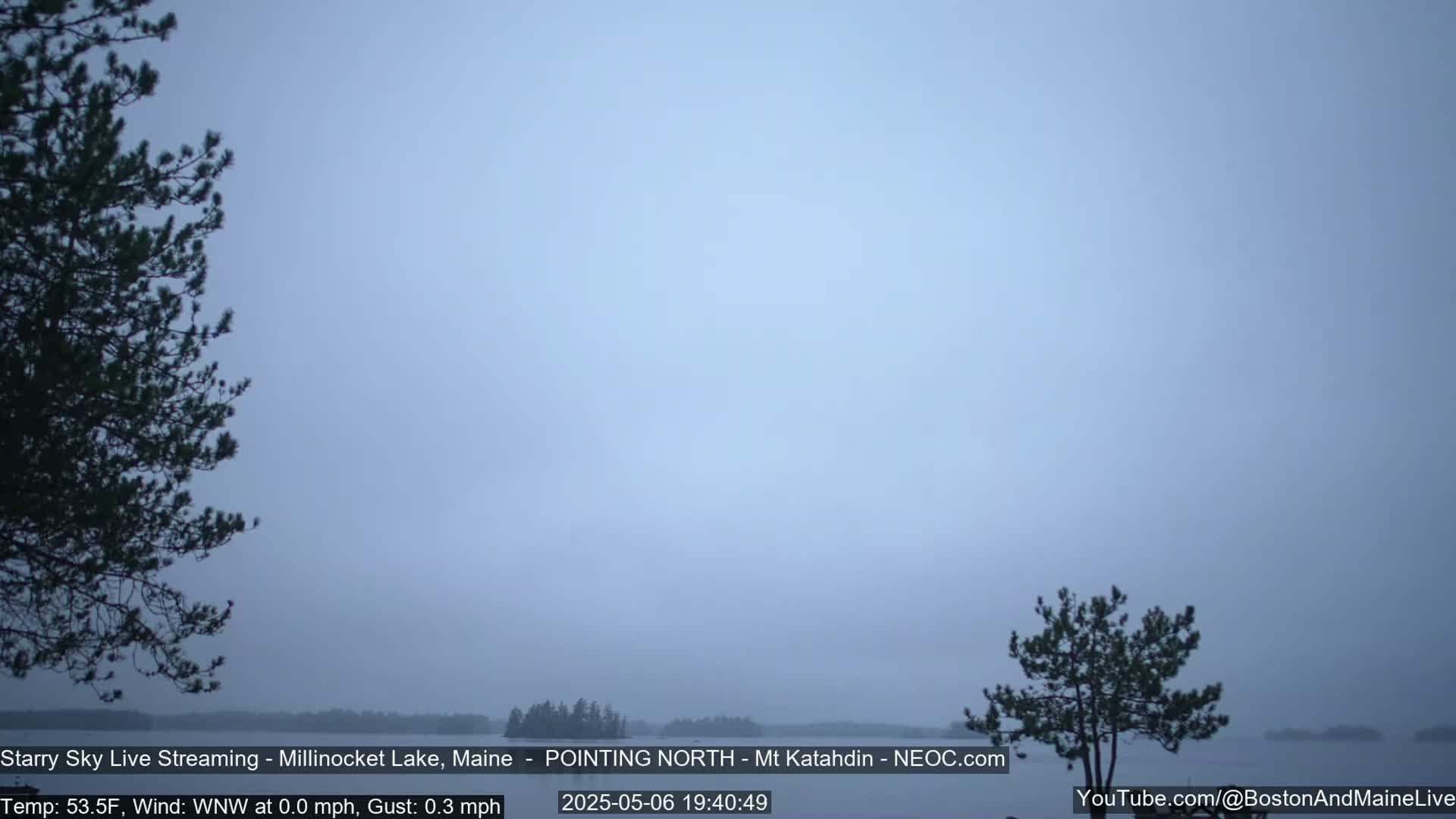 A hazy, calm lake is visible between two dark evergreen trees under a light-grey sky.