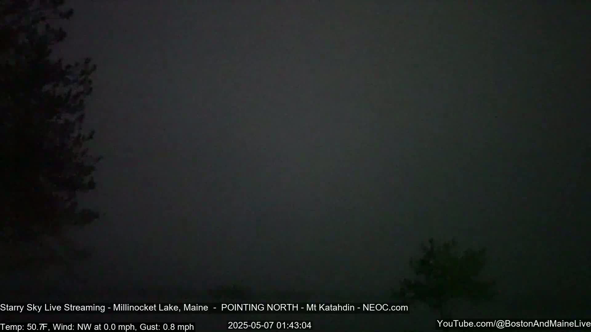 A dark, overcast night scene shows silhouetted trees on either side of the frame.