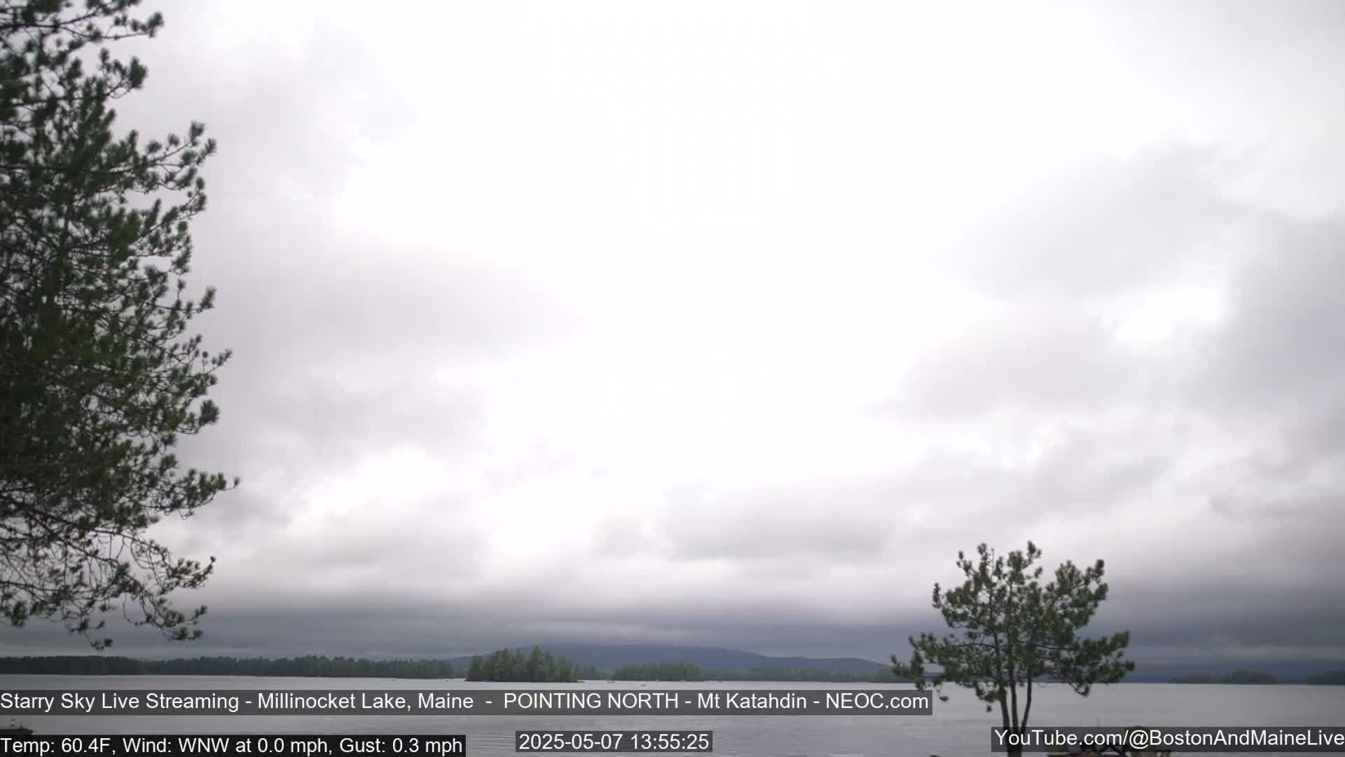 A mostly cloudy sky hangs over a calm lake, framed by two evergreen trees.
