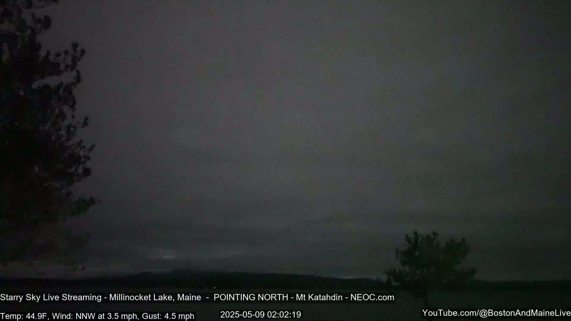 A dark, overcast night scene shows silhouetted trees in the foreground against a mostly gray sky.